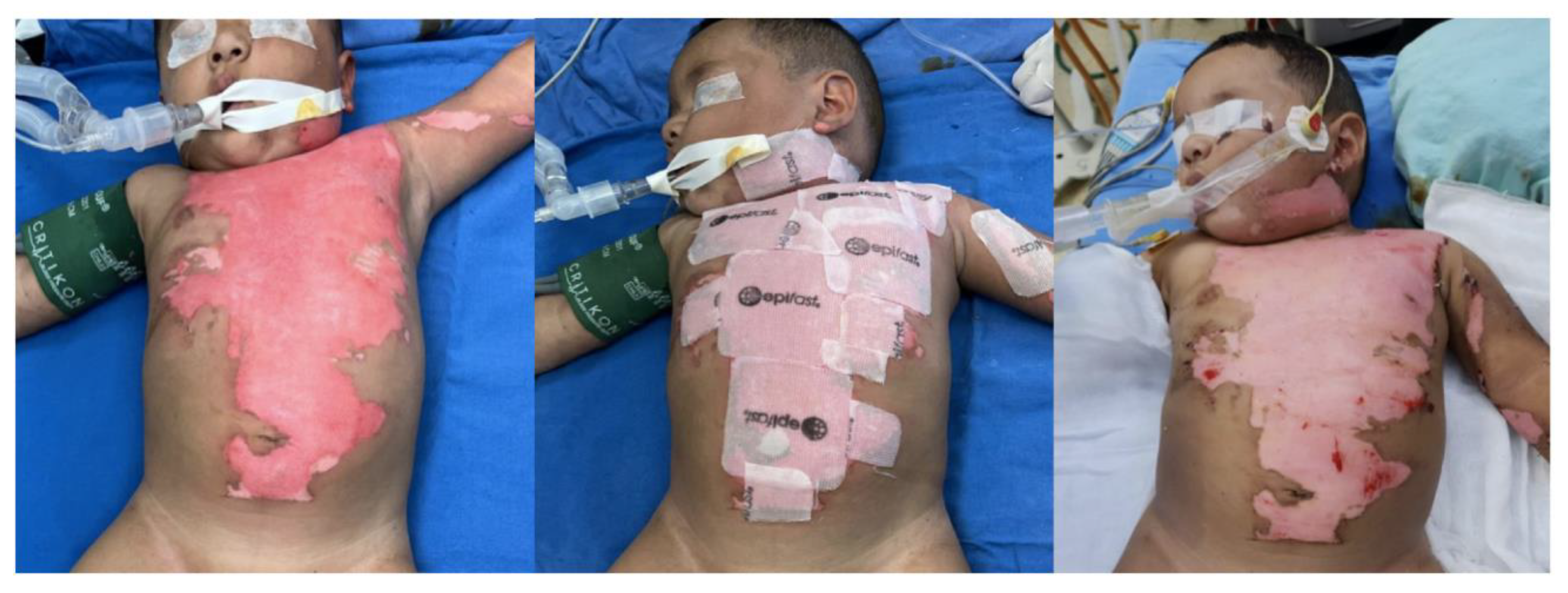 Preprints 111973 g003