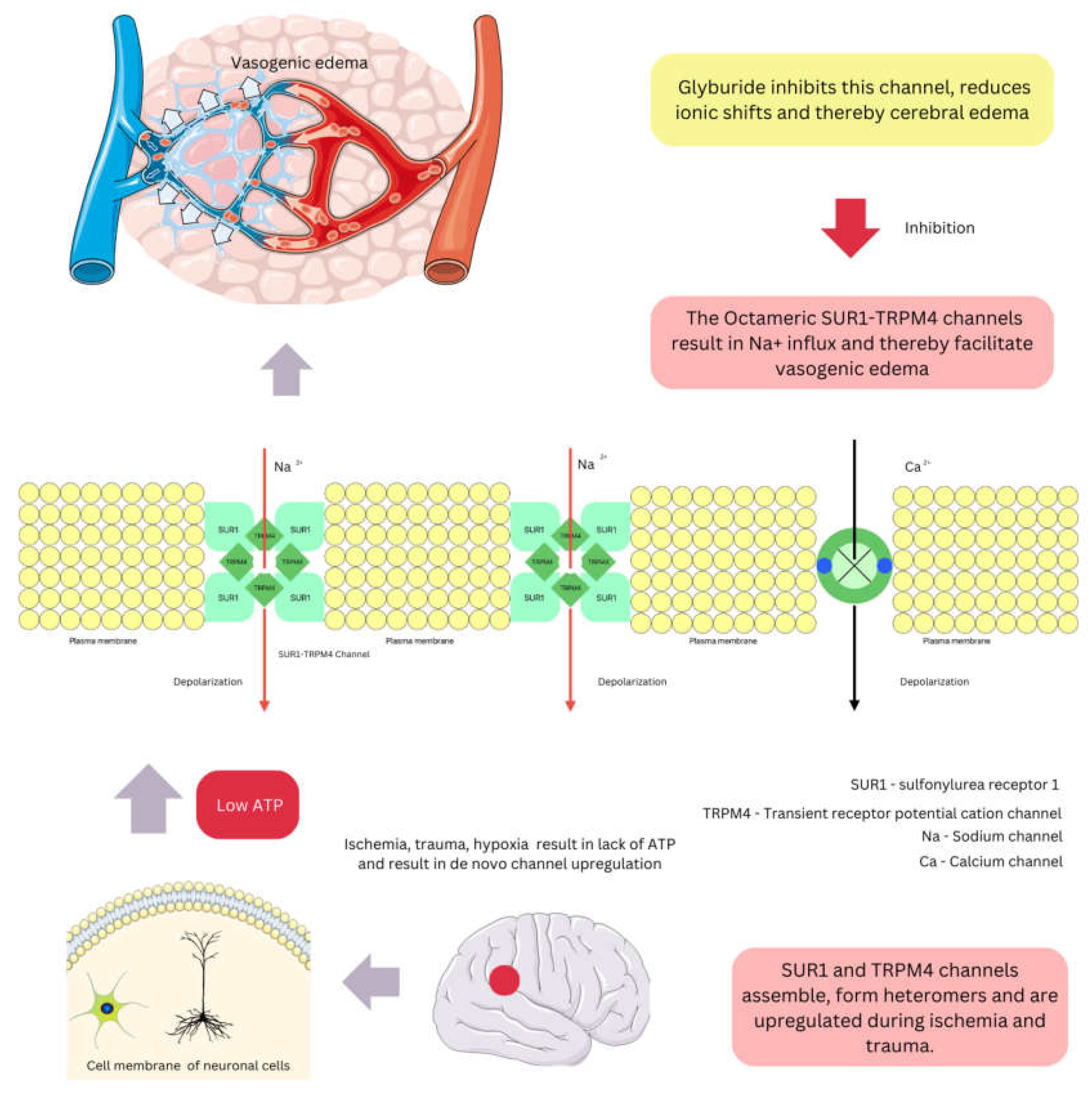 Preprints 220794 g001