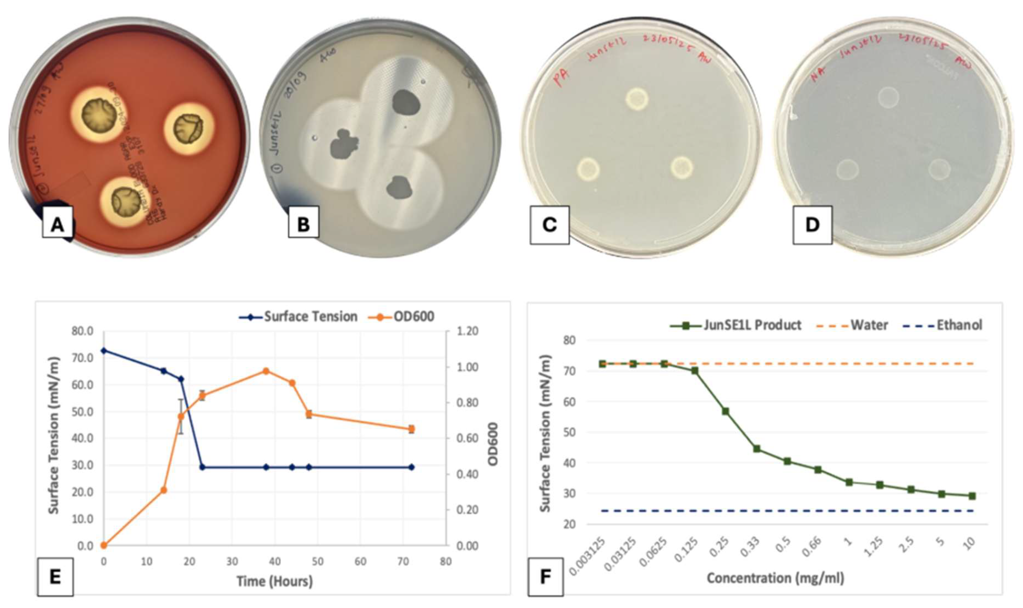 Seed Endophyte Bacillus atrophaeus Colonizes Root and Shoot