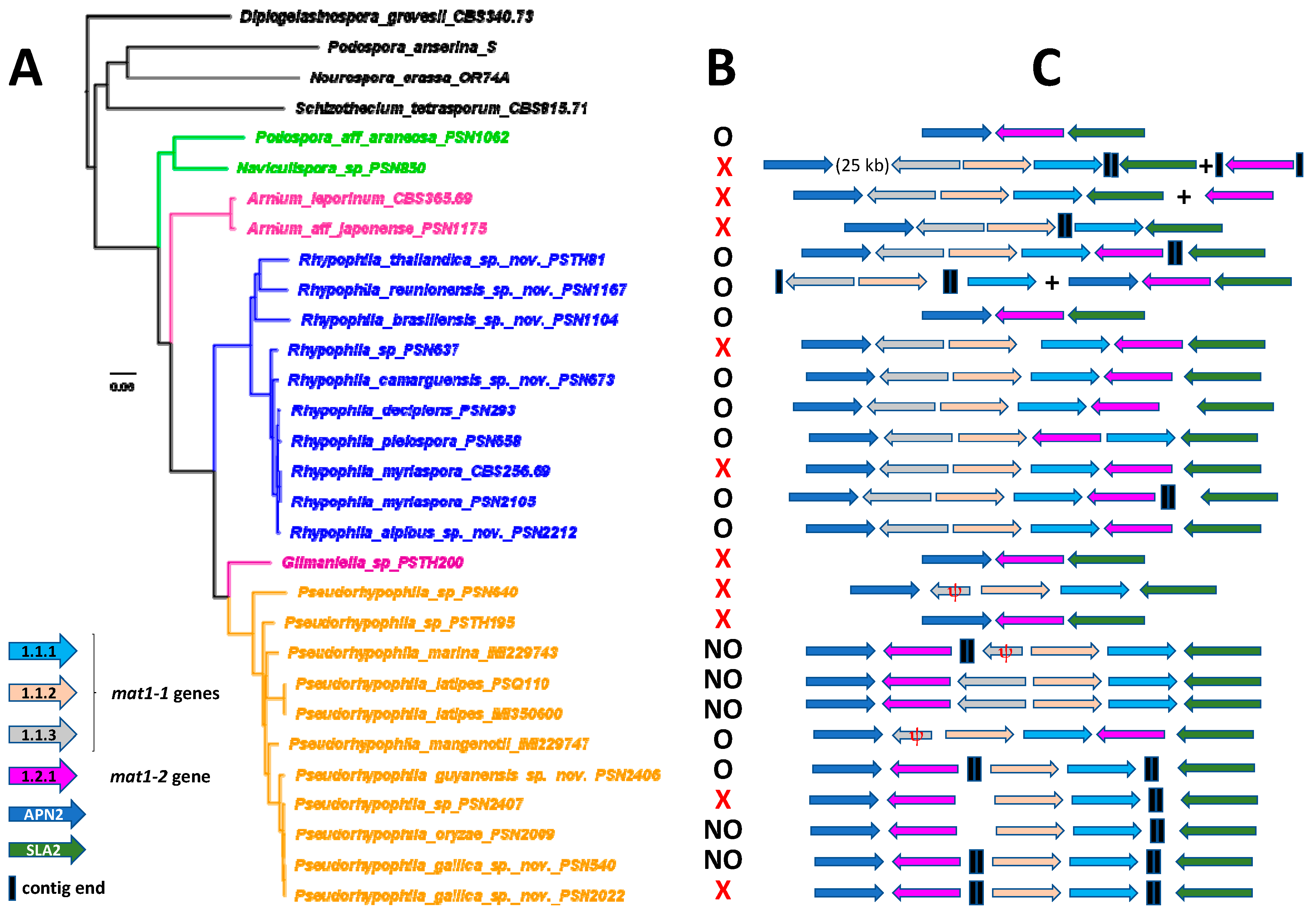 Preprints 183959 g012