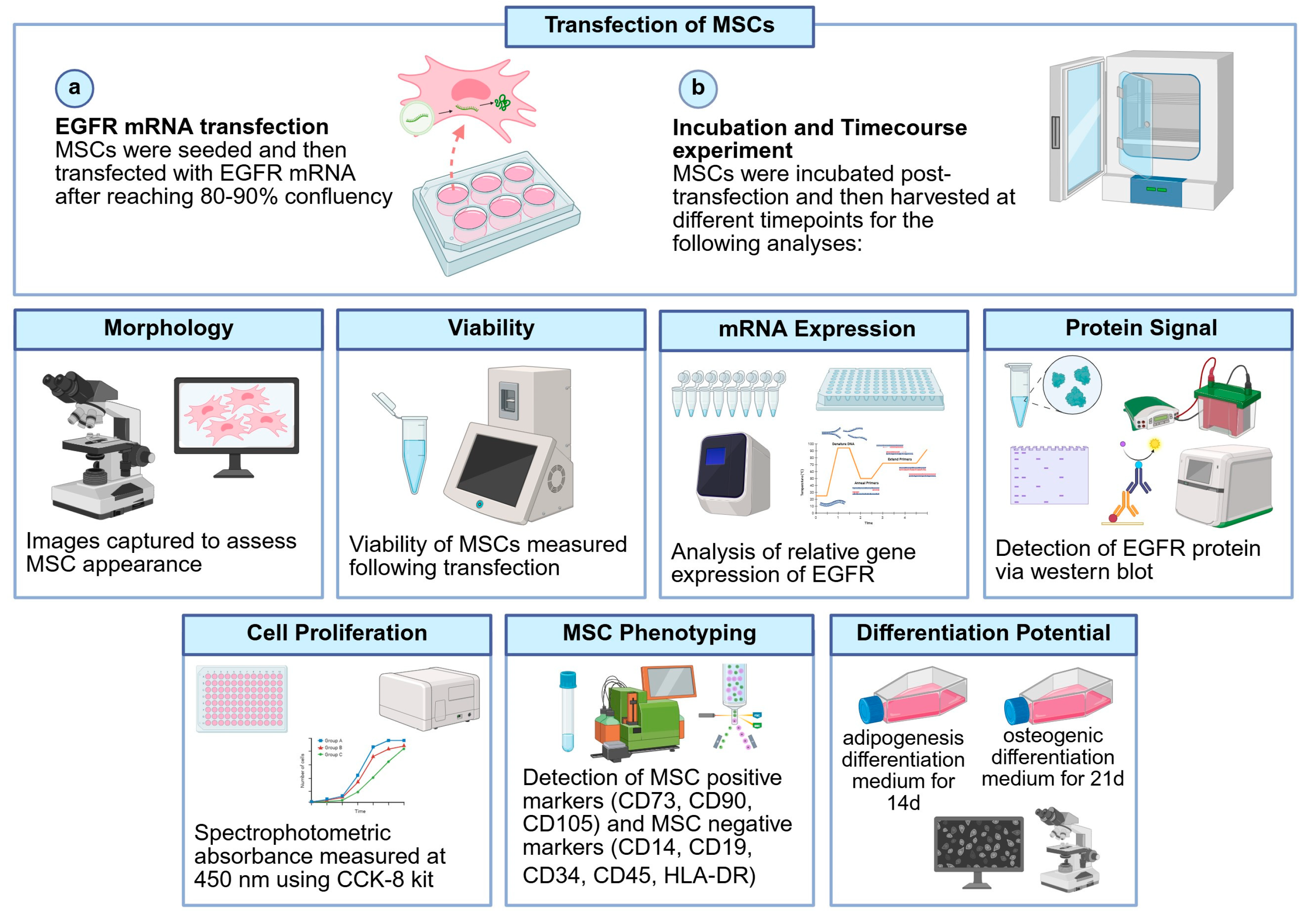 Preprints 173855 g001
