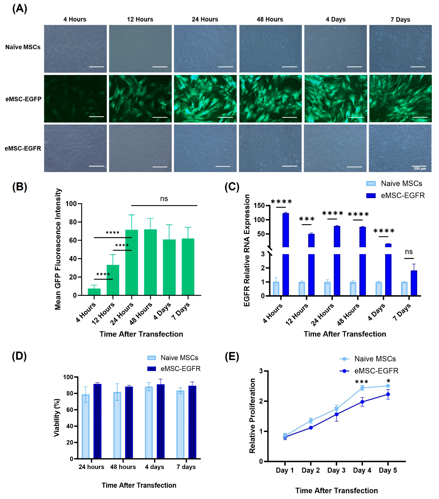 Preprints 173855 g002