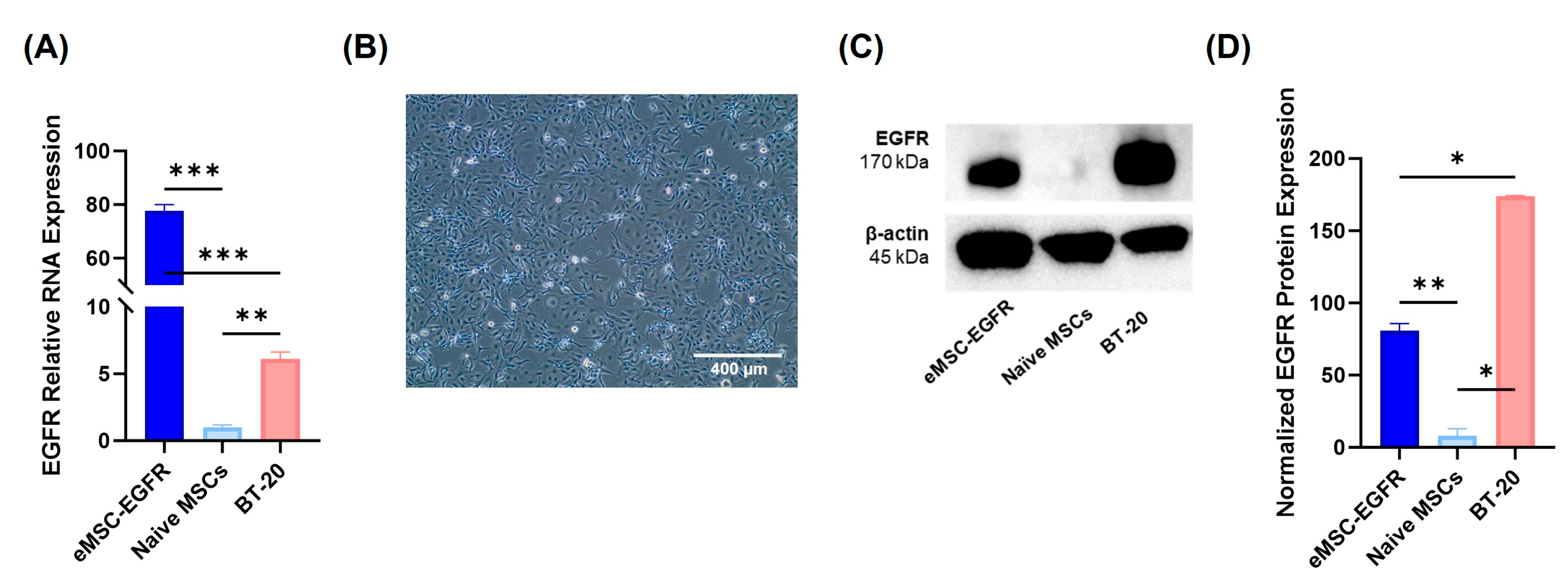 Preprints 173855 g003