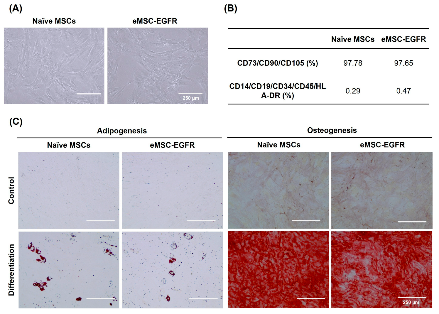 Preprints 173855 g004