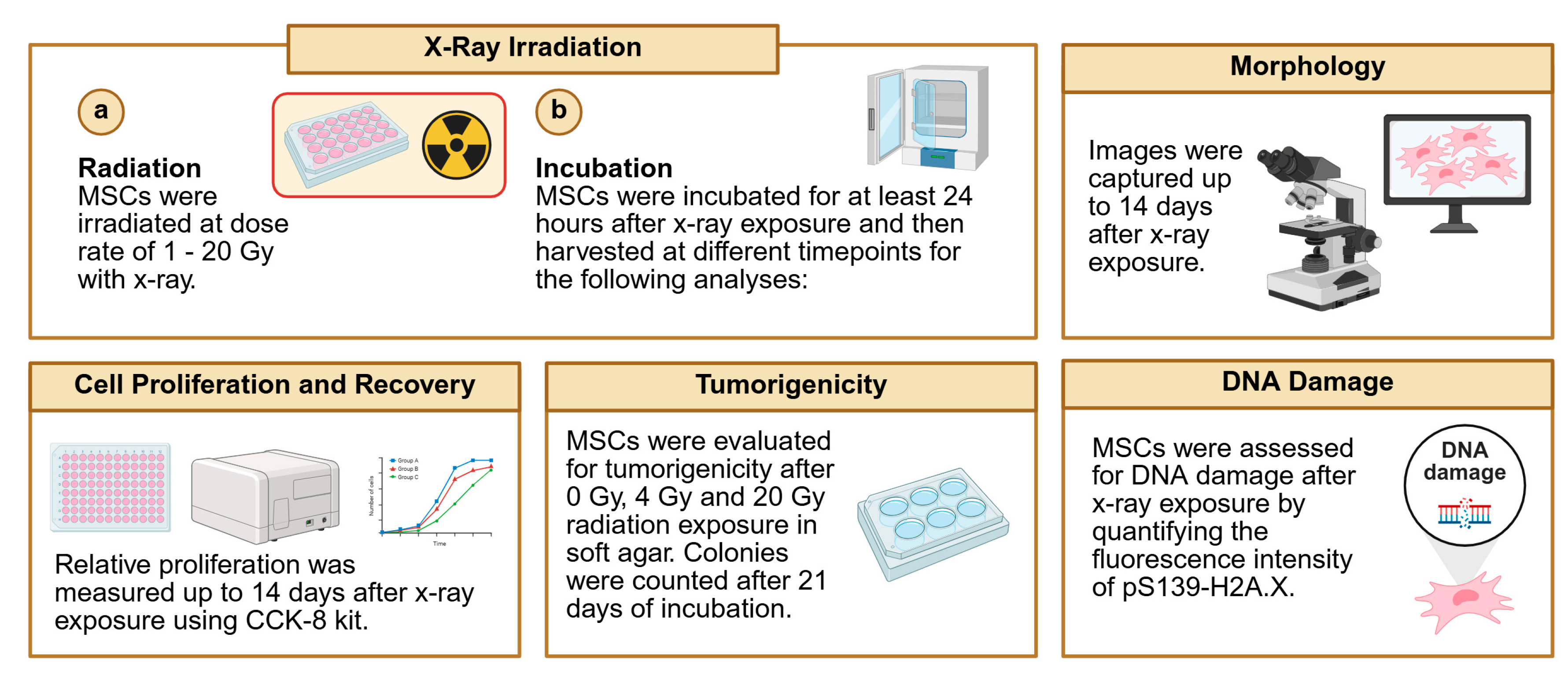 Preprints 173855 g005