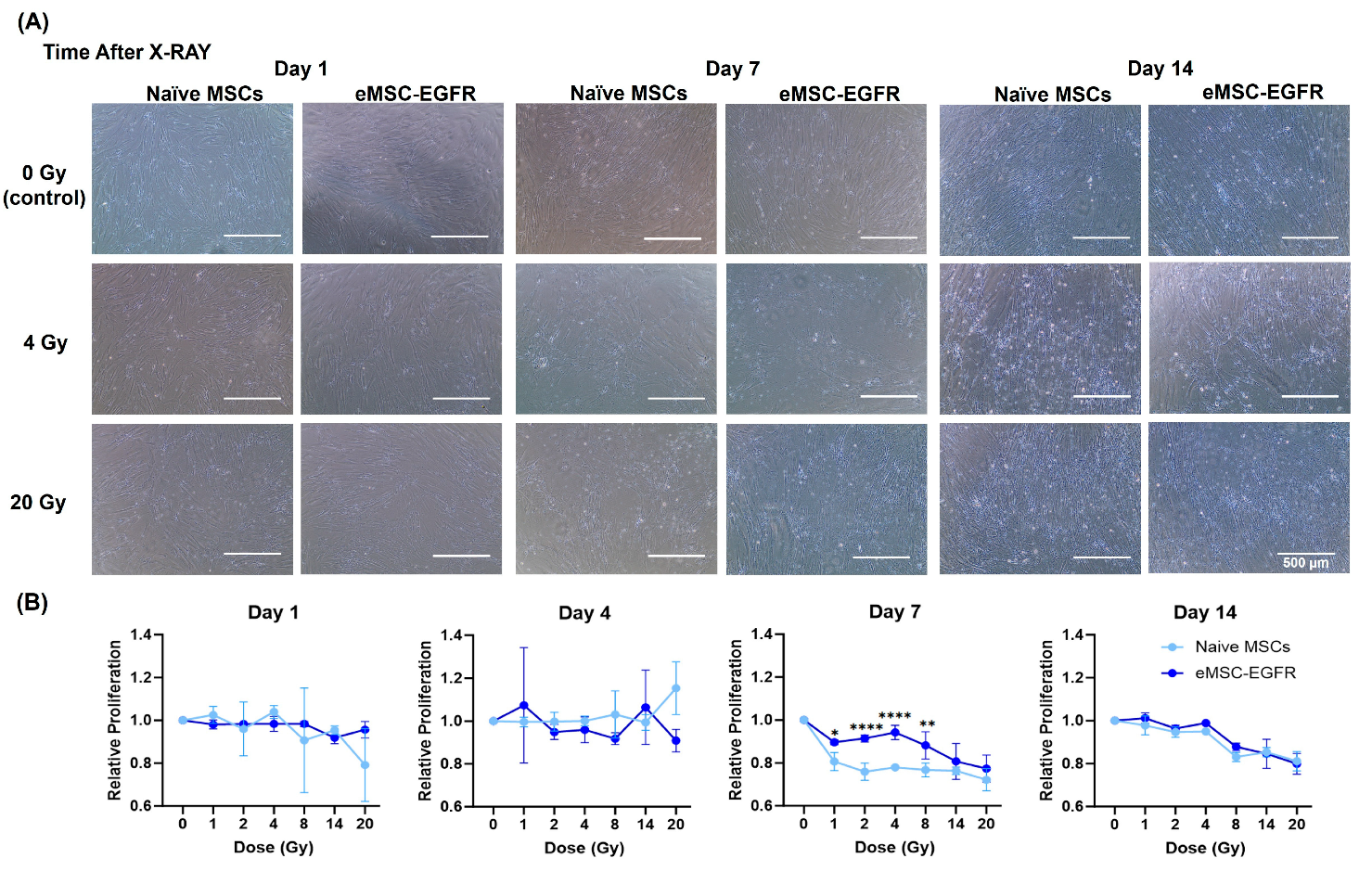 Preprints 173855 g006