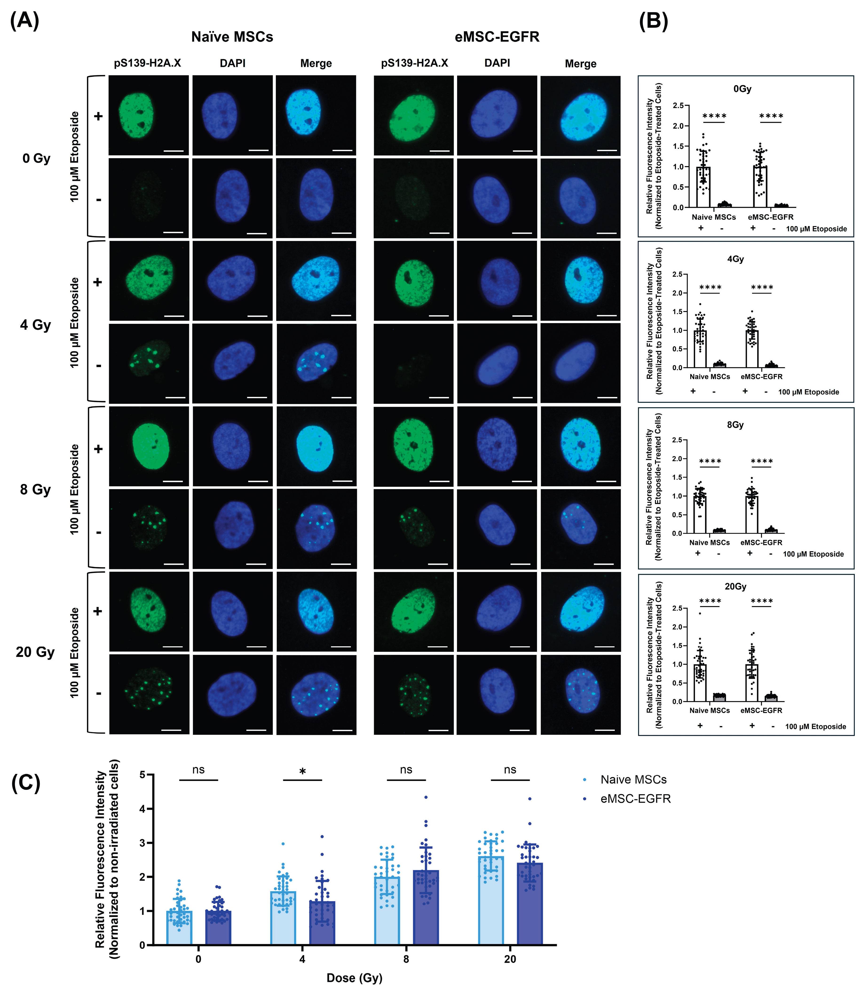 Preprints 173855 g008