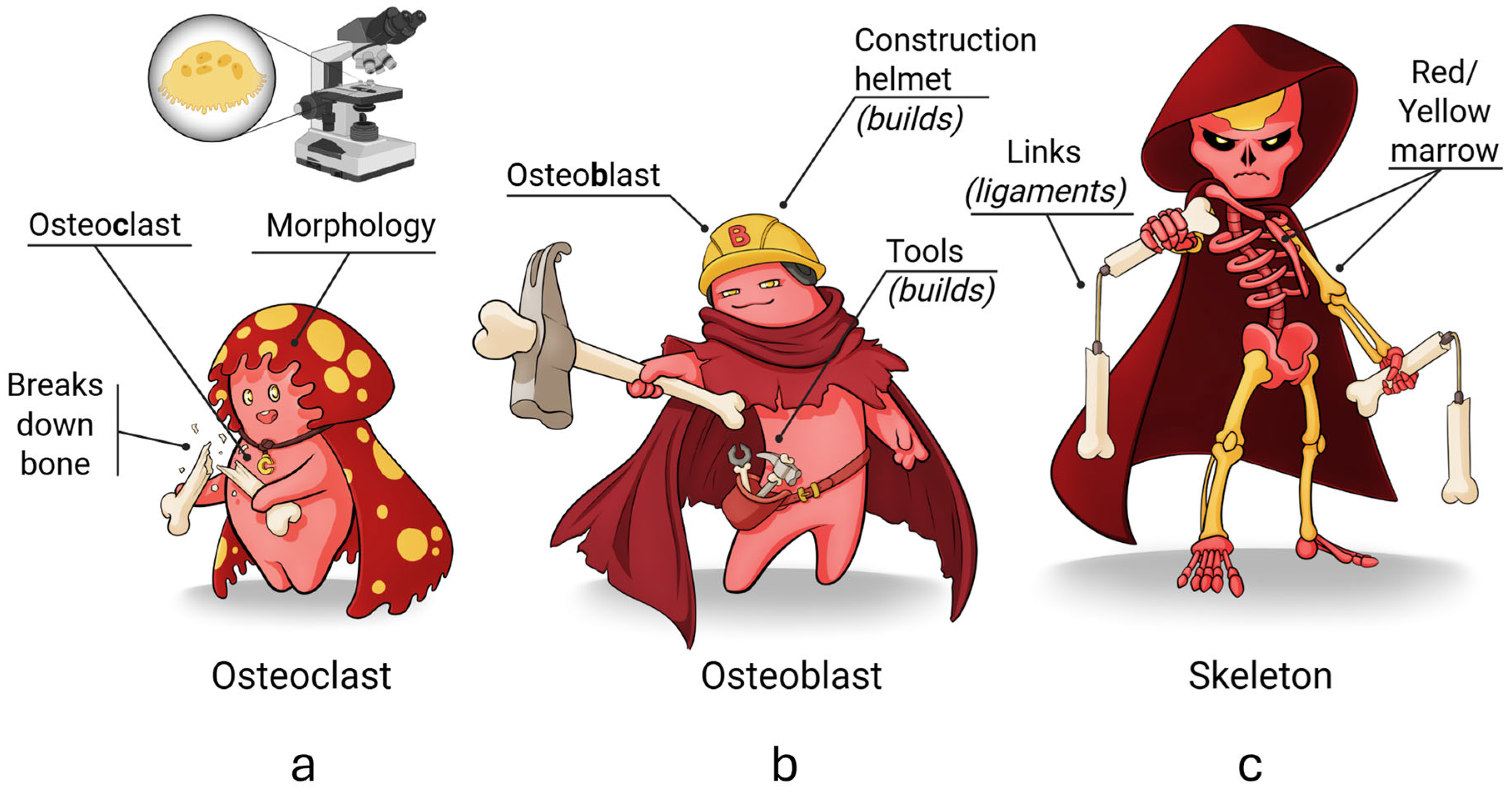Preprints 156764 g002