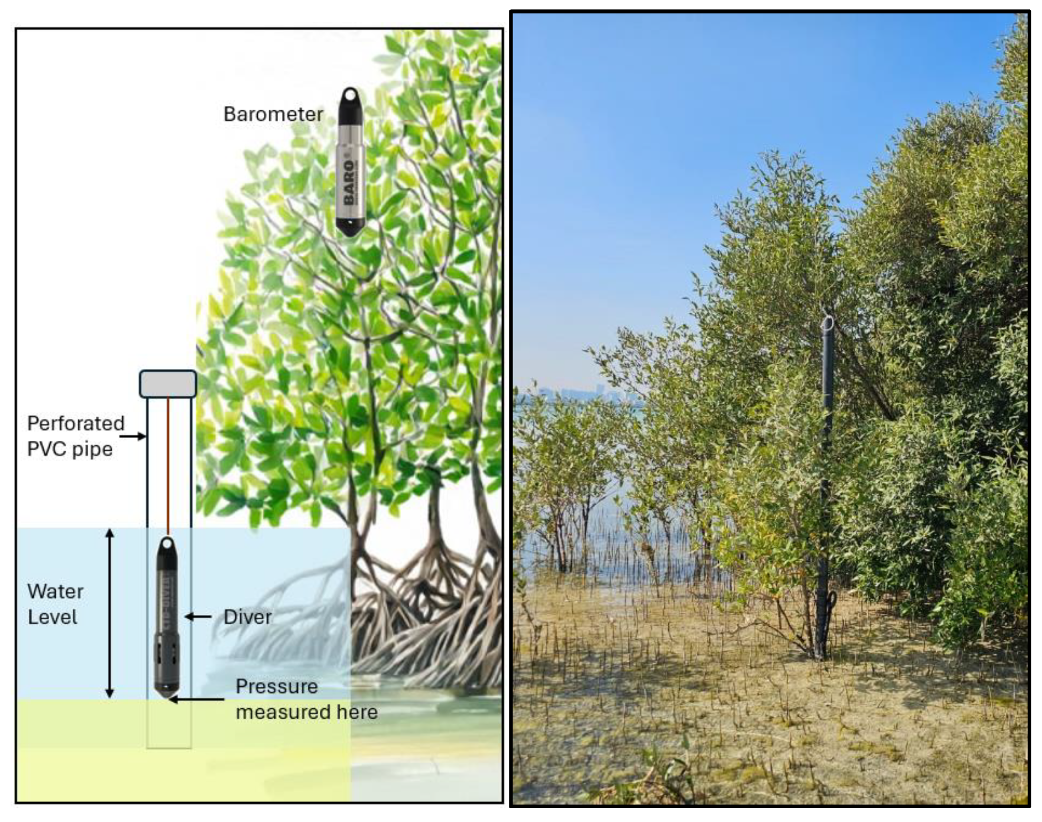 Preprints 208524 g002