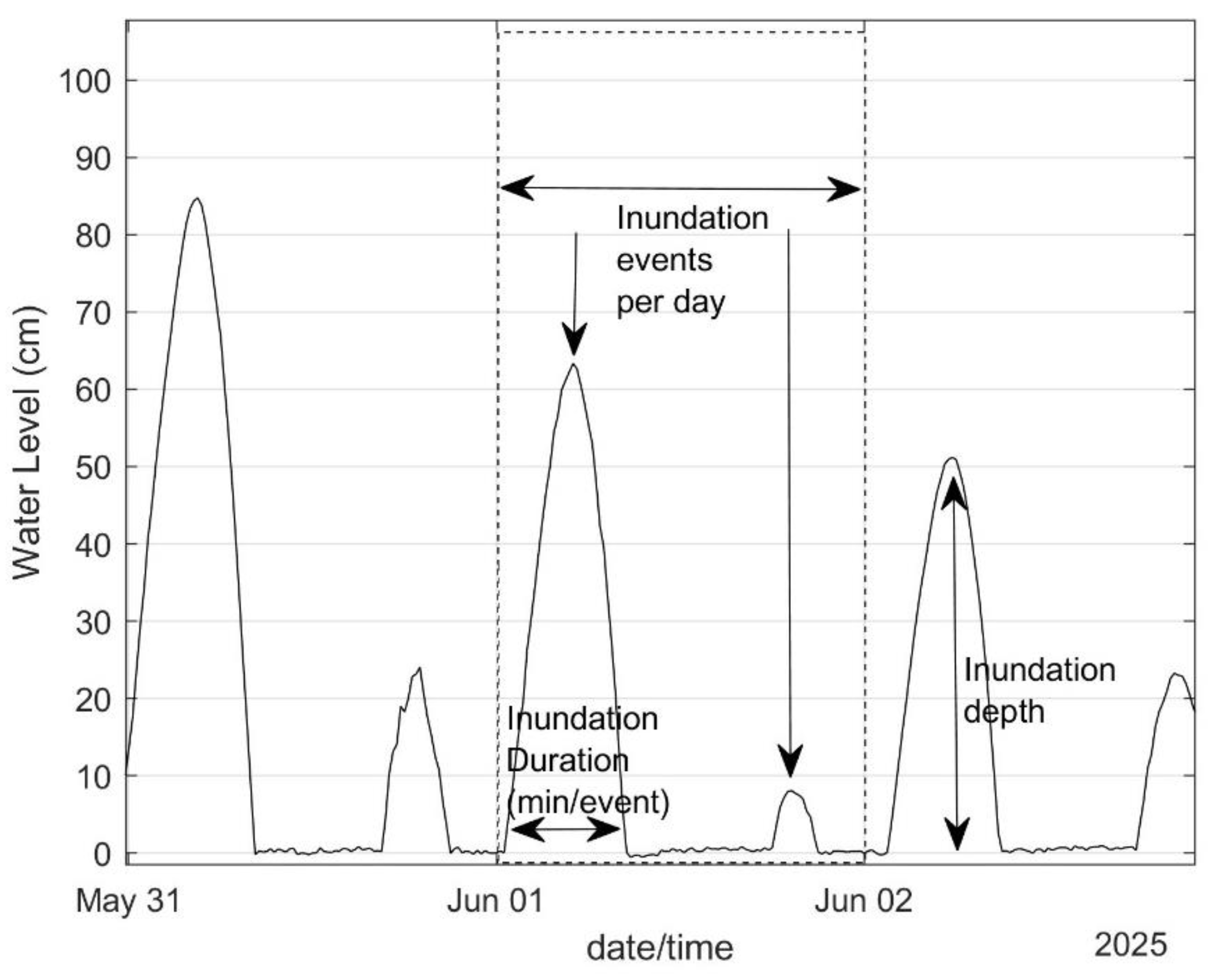 Preprints 208524 g003