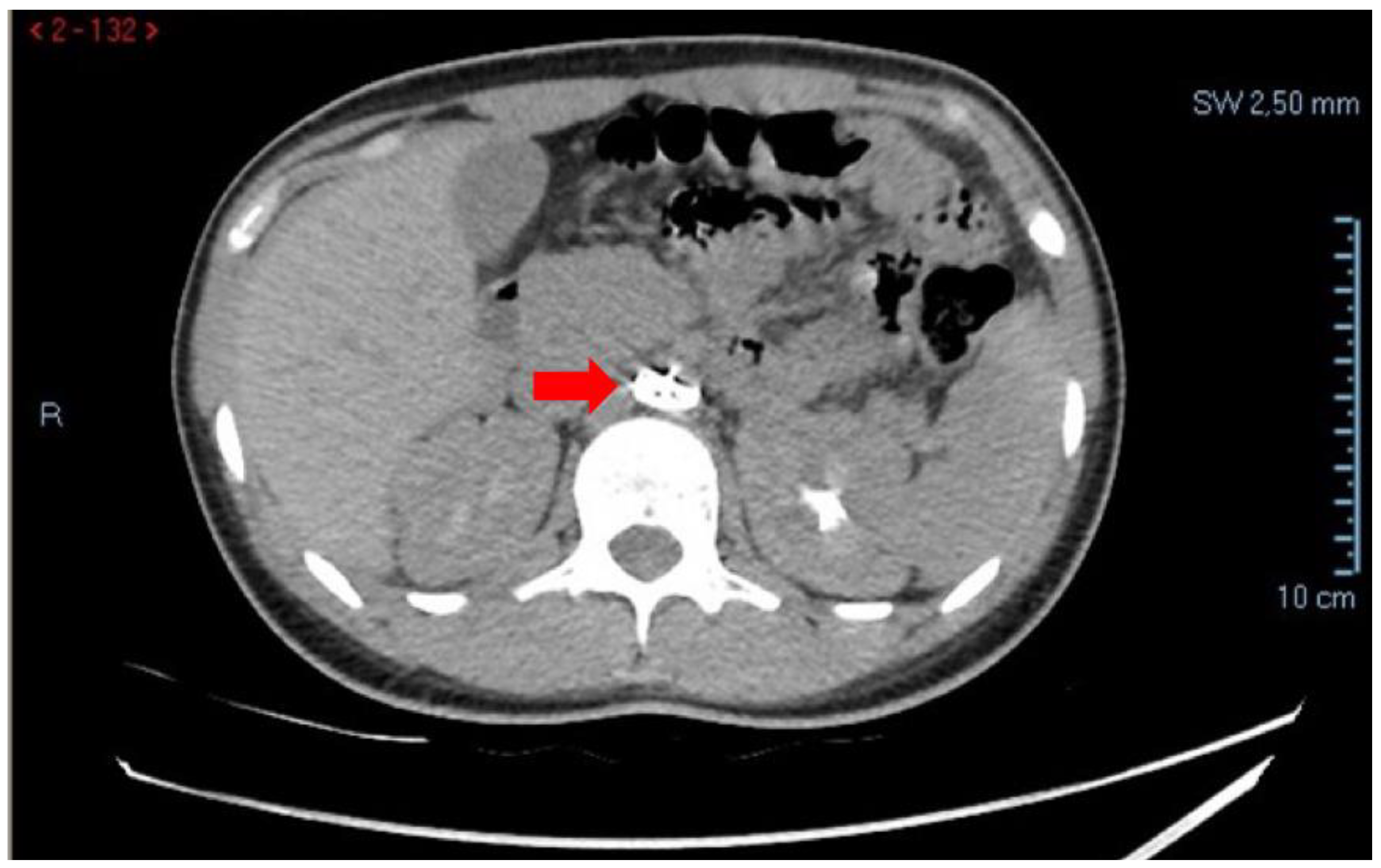 Preprints 192434 g001