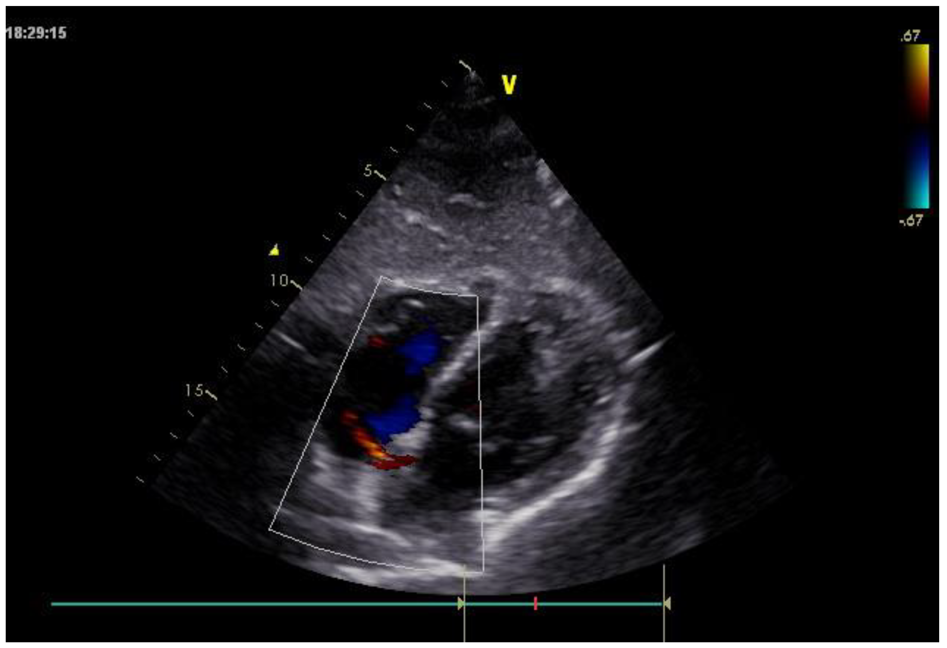 Preprints 192434 g002
