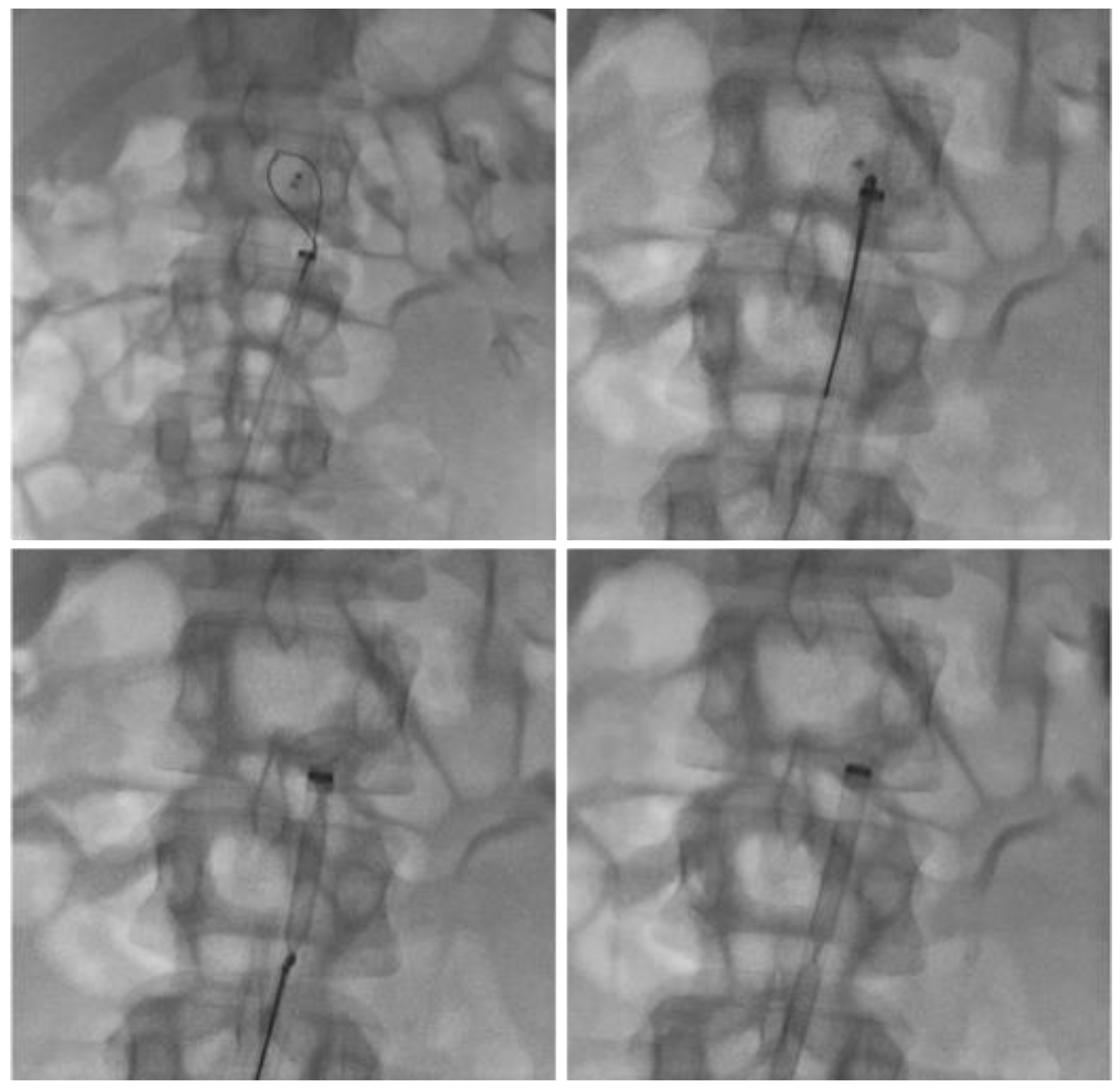 Preprints 192434 g003