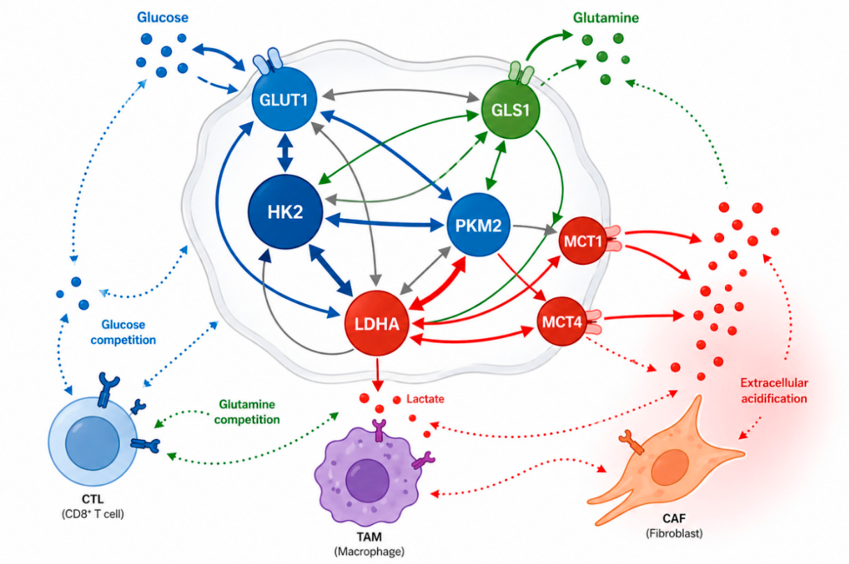 Preprints 214203 g001 Preprints 214203 g001