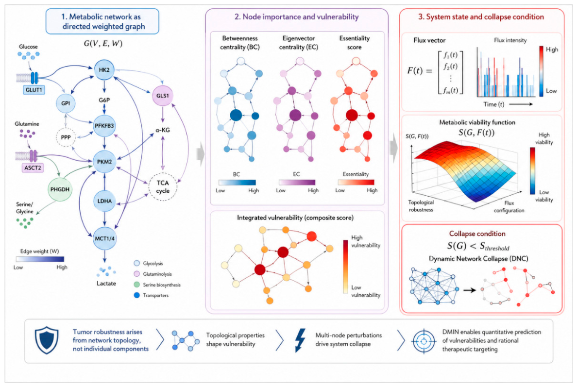 Preprints 214203 g004 Preprints 214203 g004