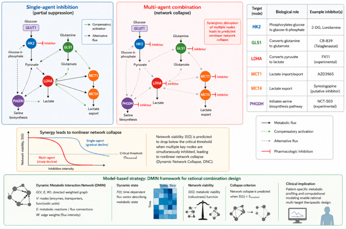 Preprints 214203 g005 Preprints 214203 g005