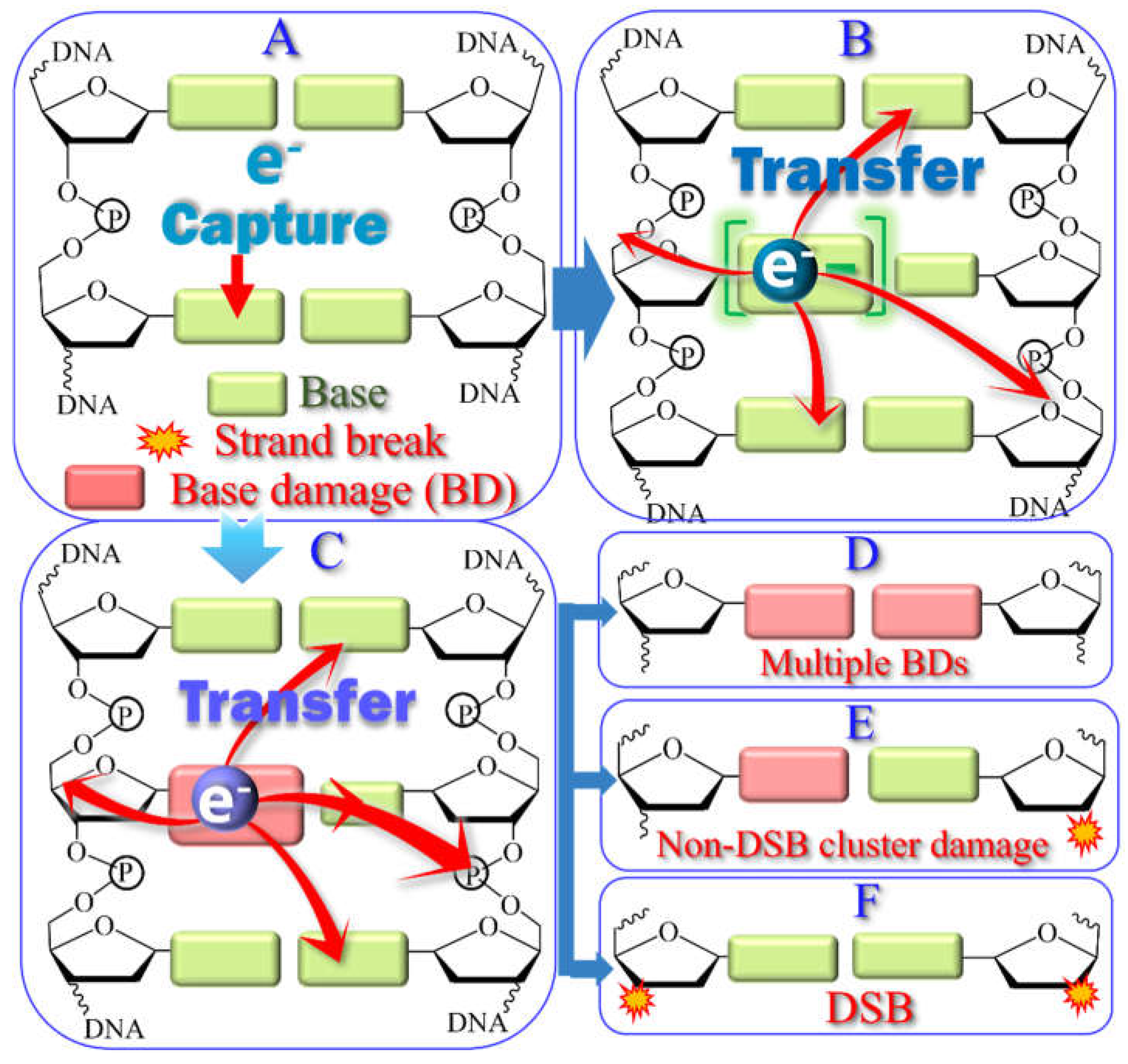 Preprints 152900 g003