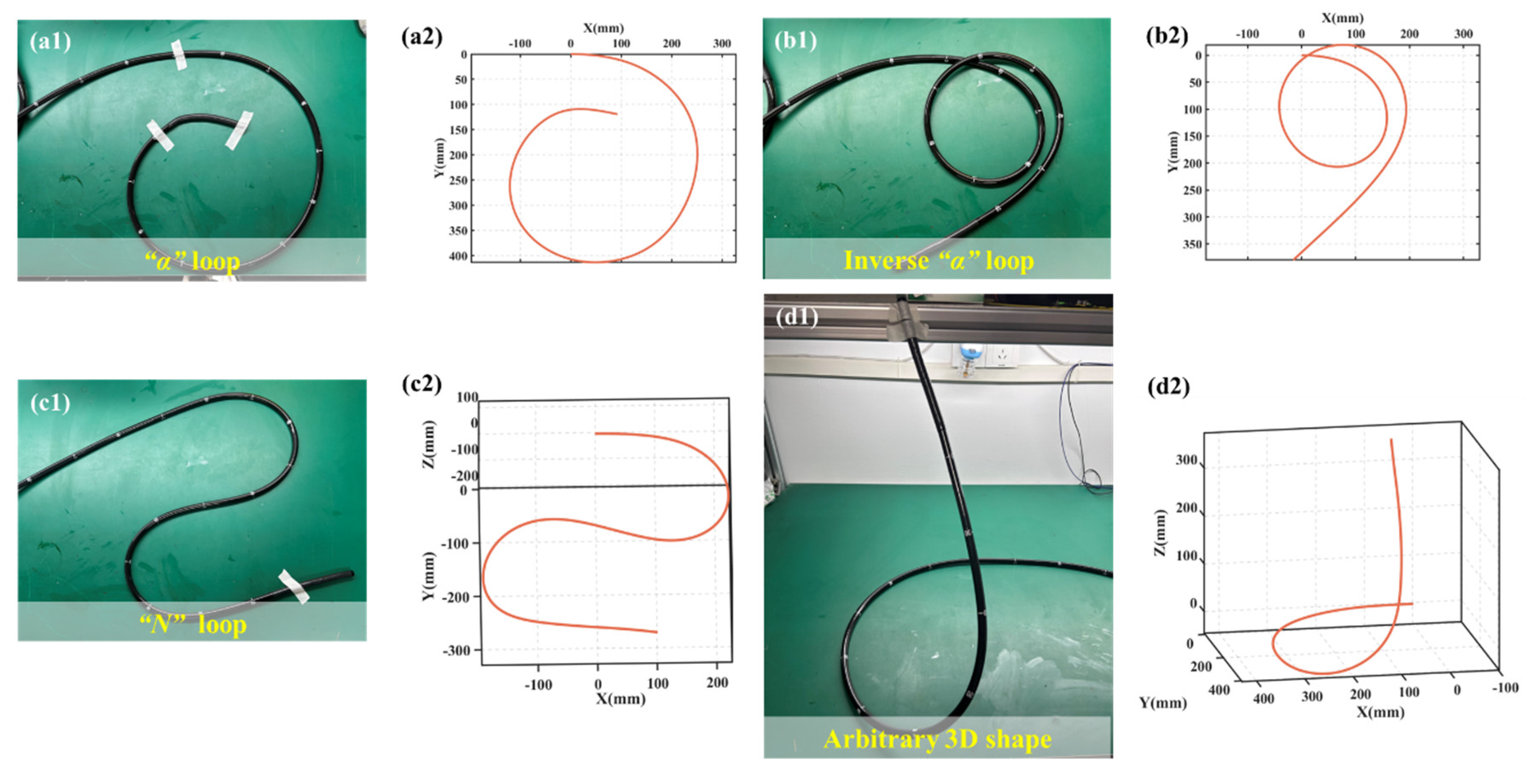 Preprints 191262 g005