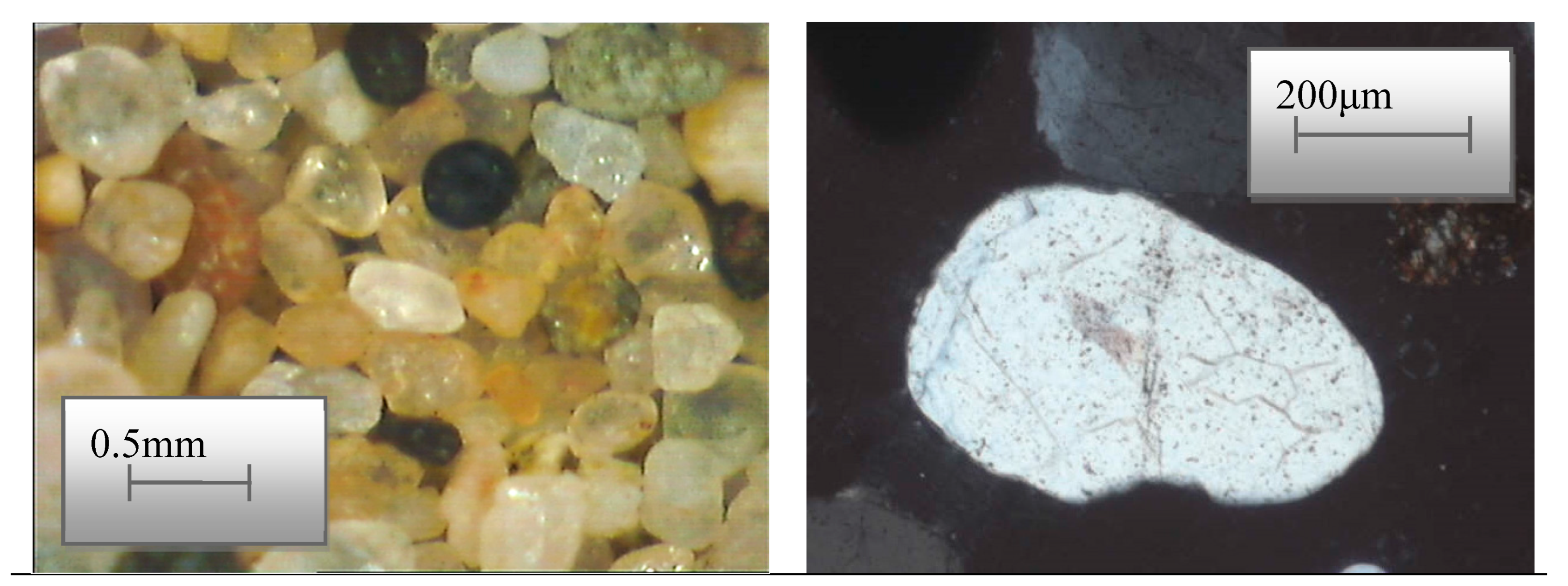 Preprints 78368 g005