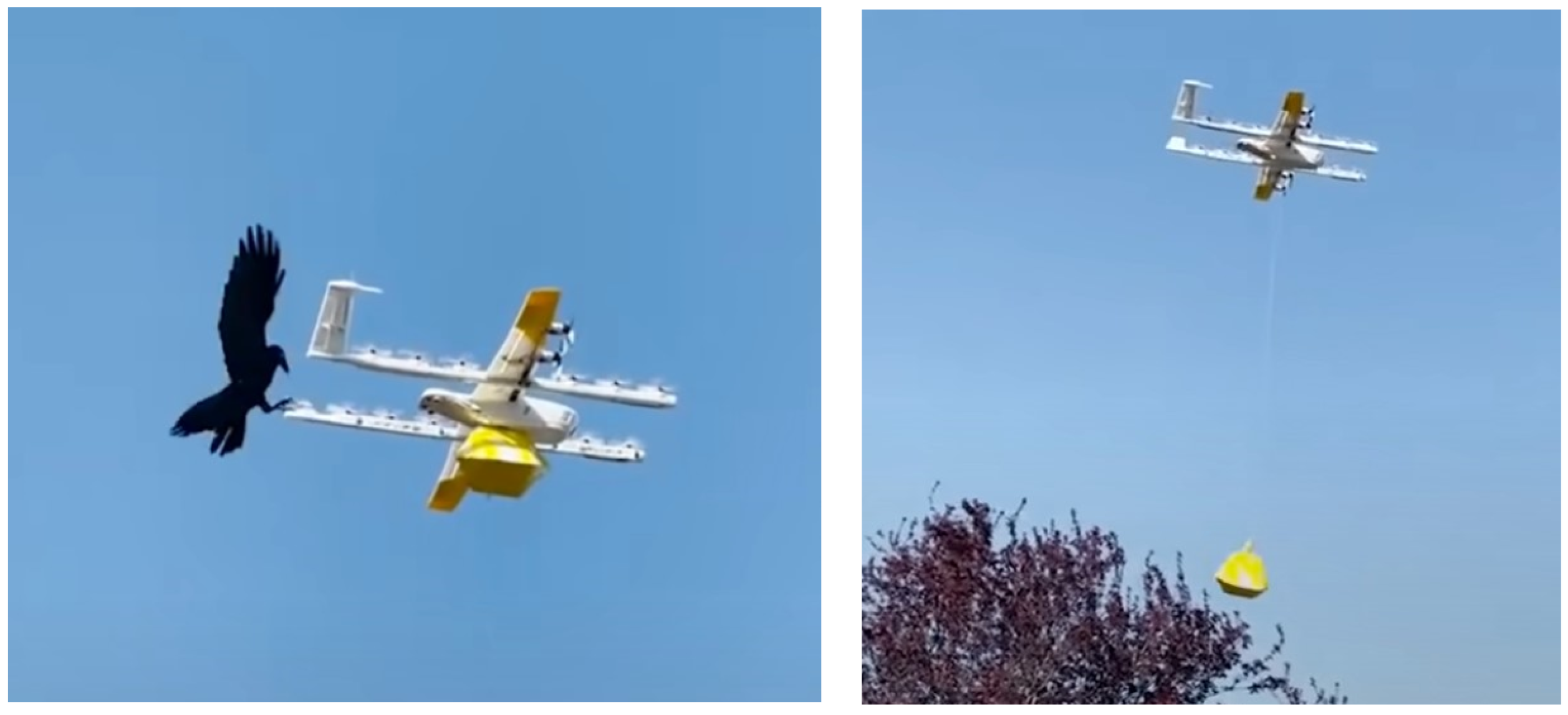 Preprints 152136 g002