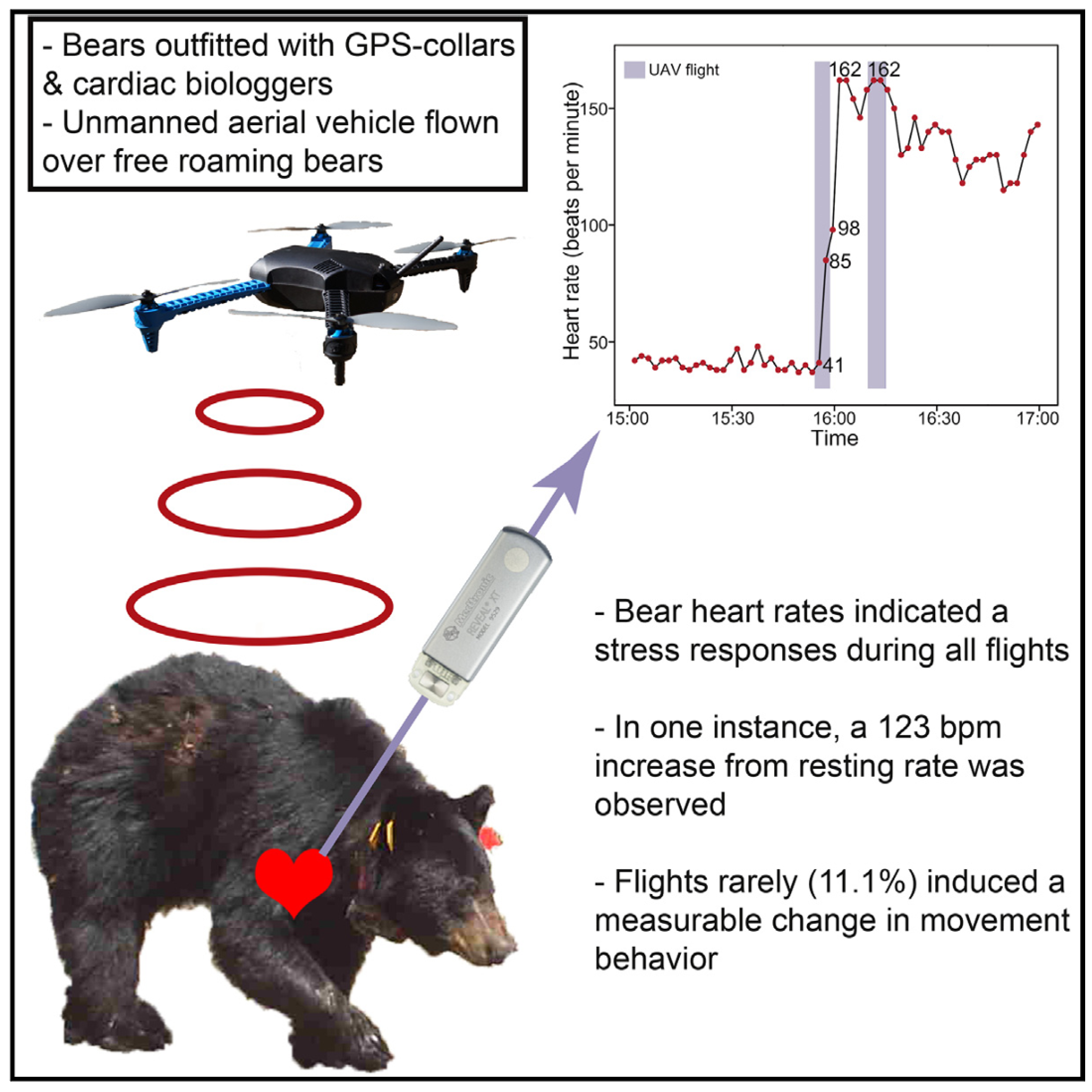 Preprints 152136 g005