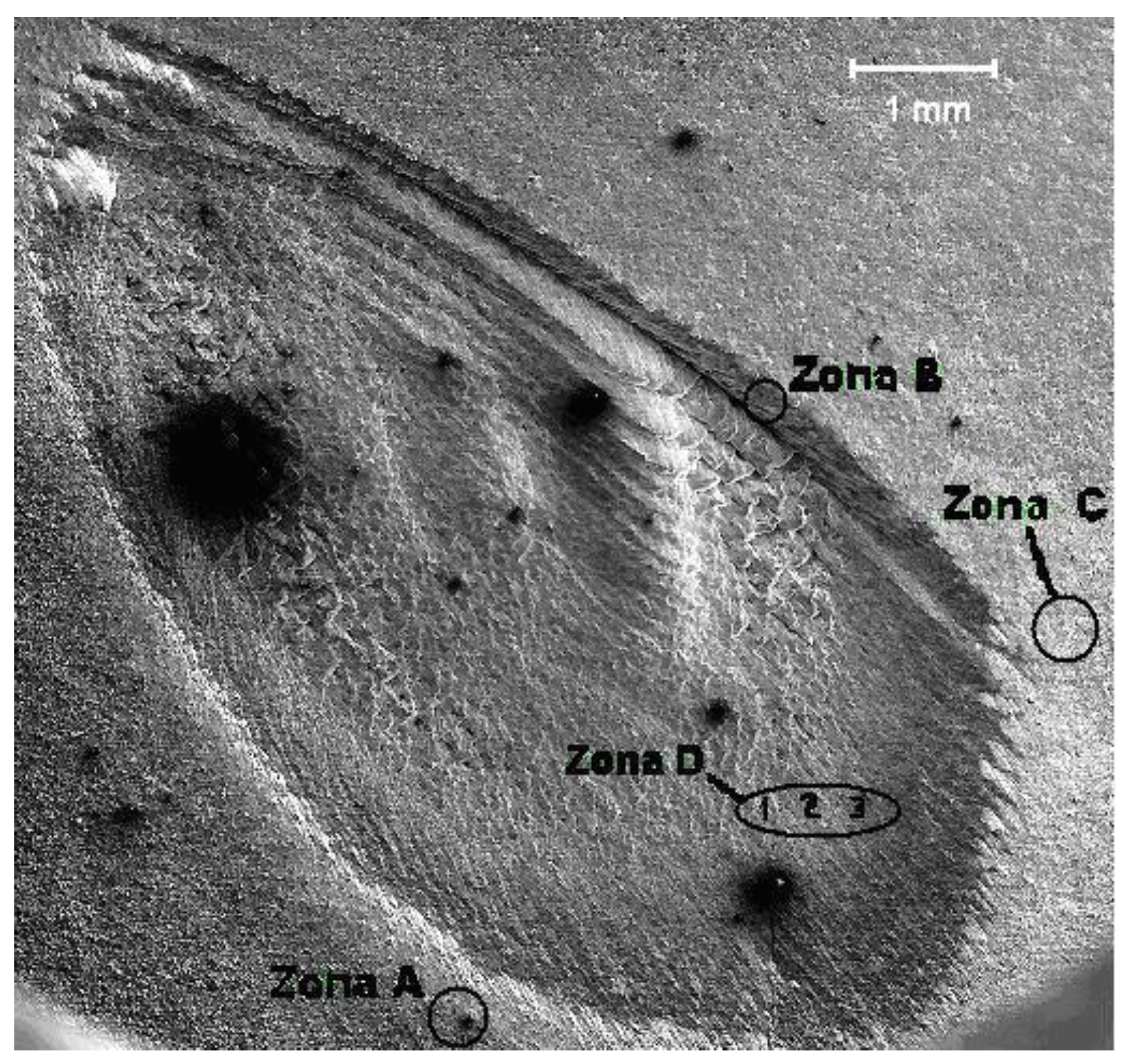 Preprints 138562 g001