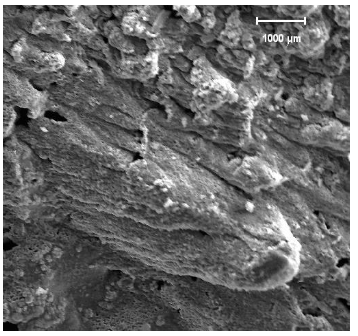 Preprints 138562 g003