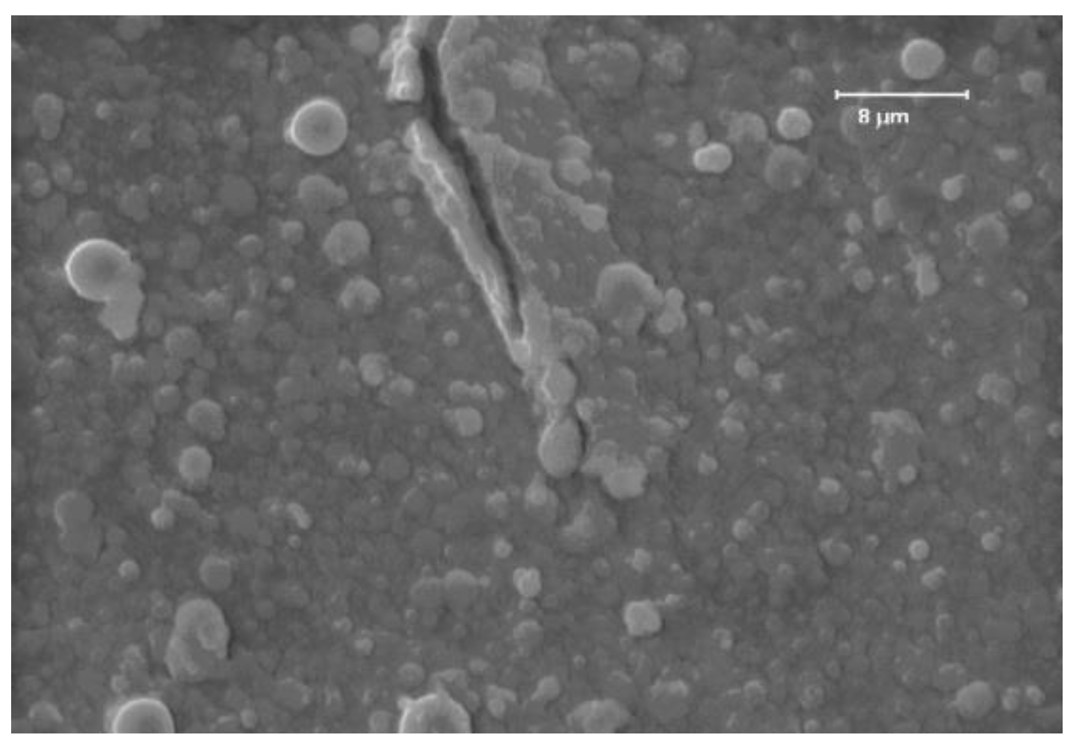 Preprints 138562 g007