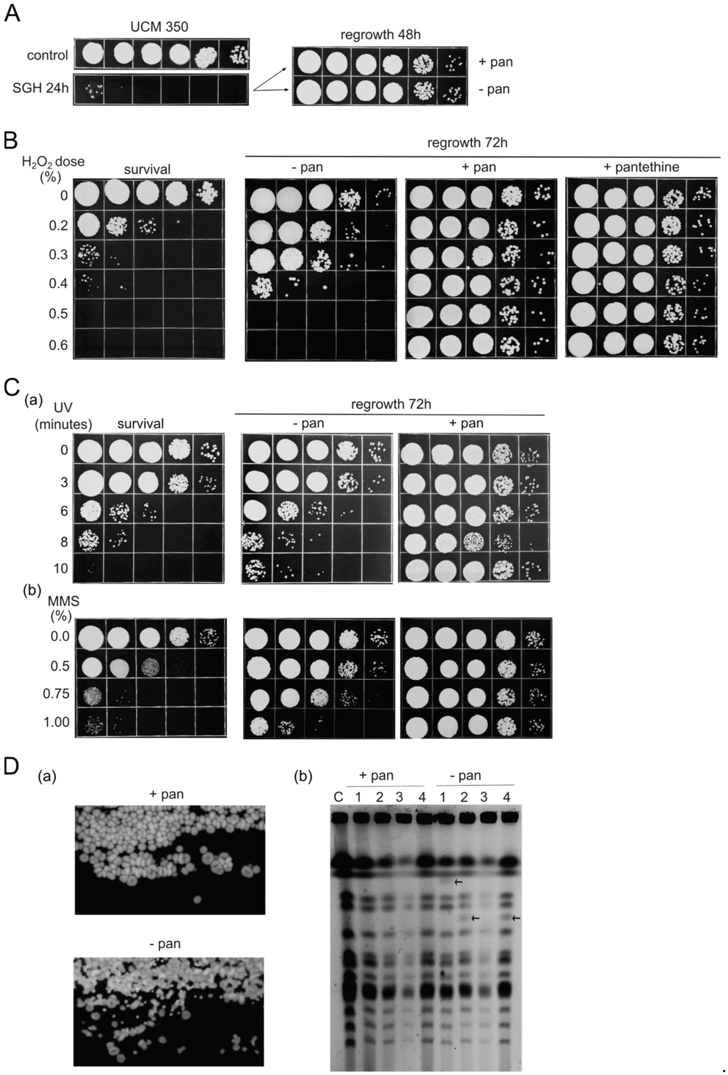 Preprints 172212 g001