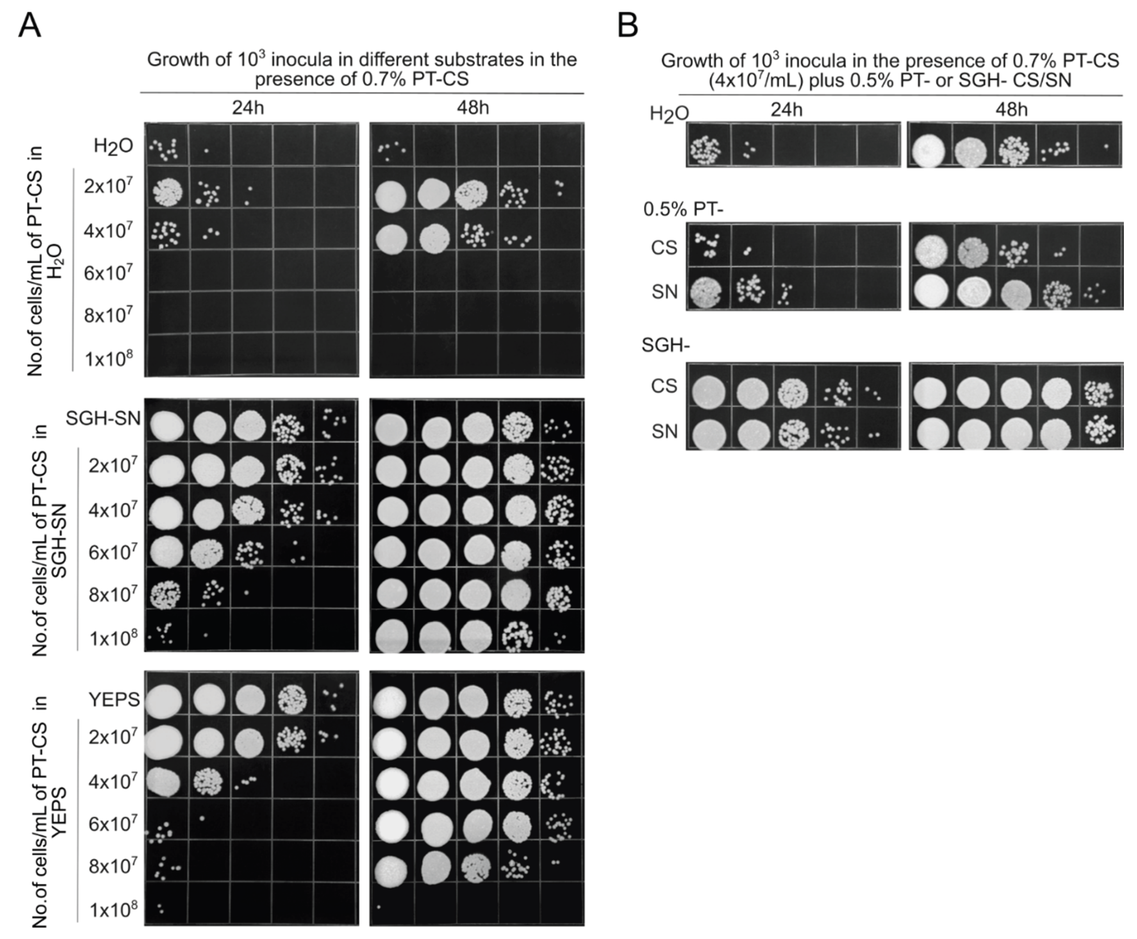 Preprints 172212 g003