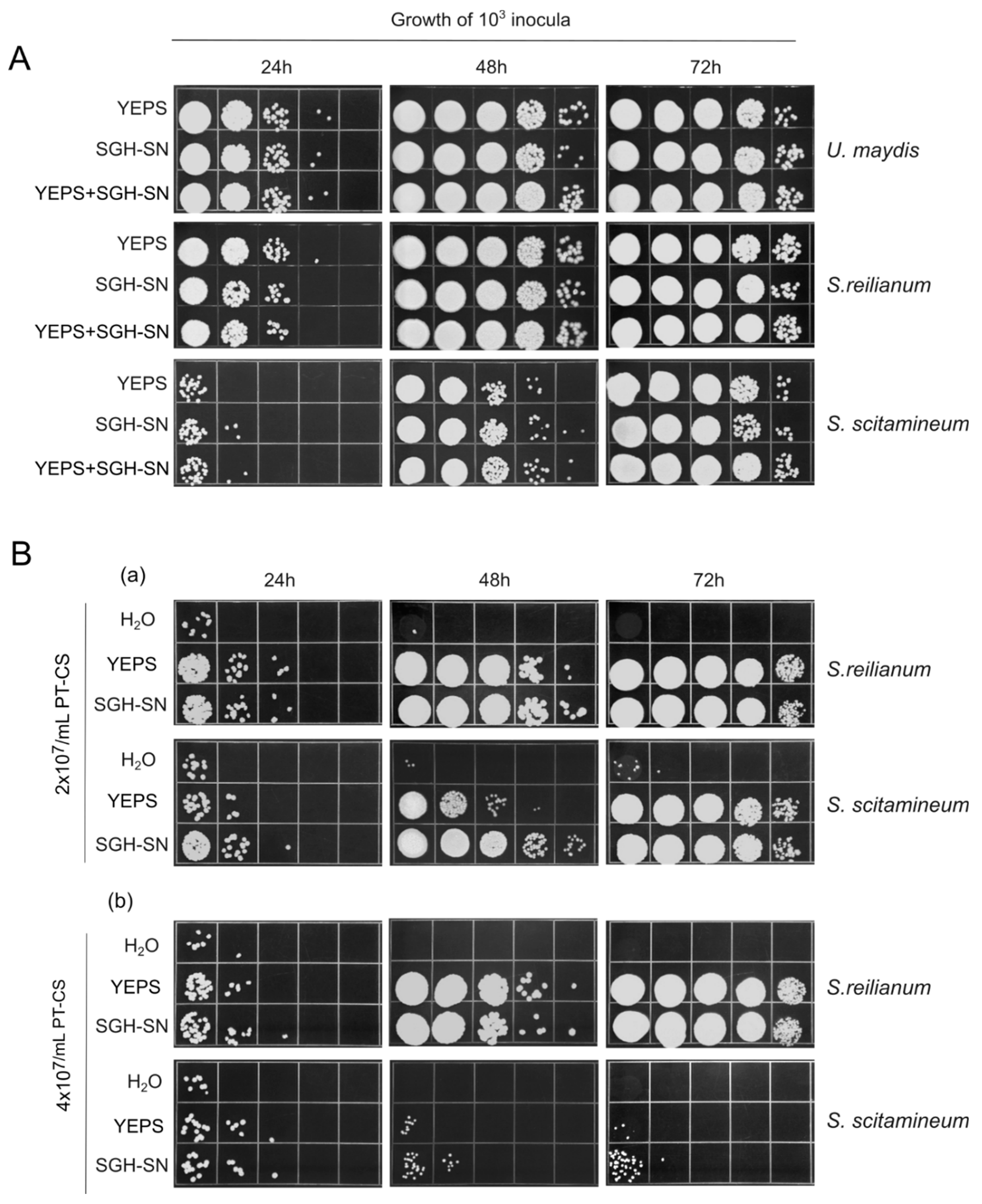 Preprints 172212 g005