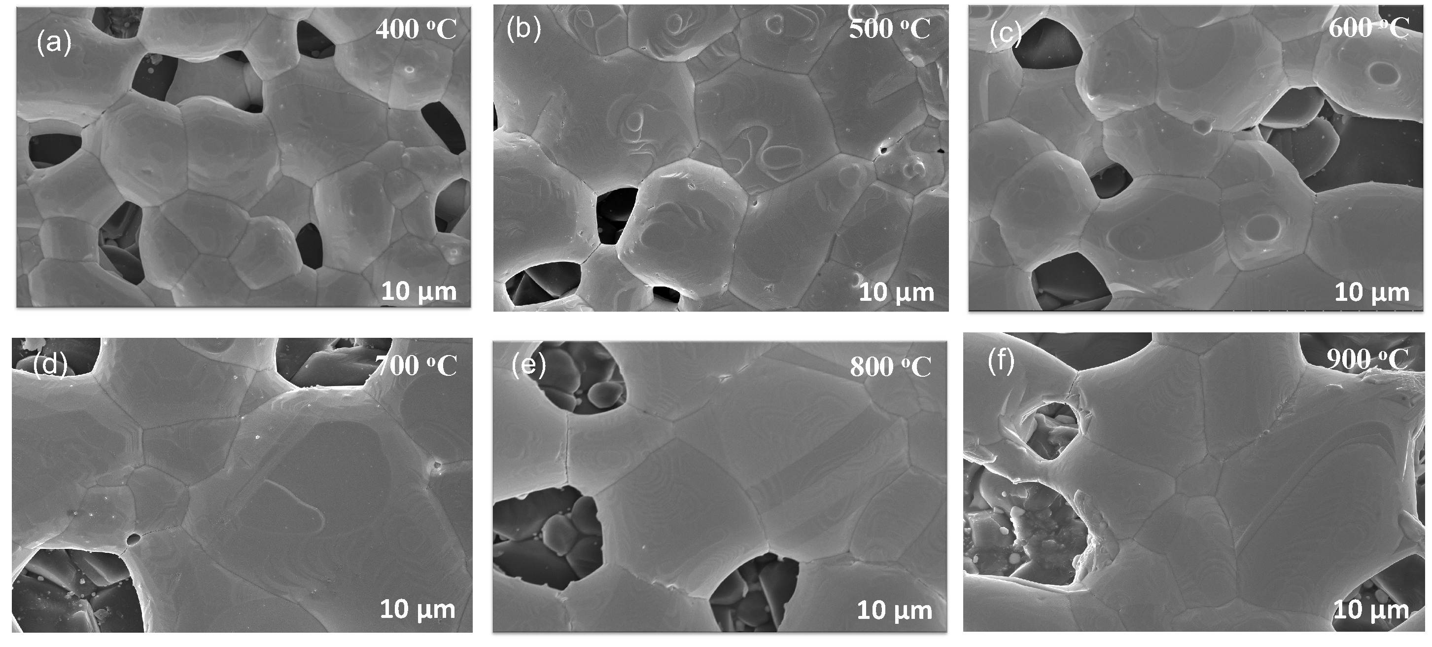 Preprints 116829 g006