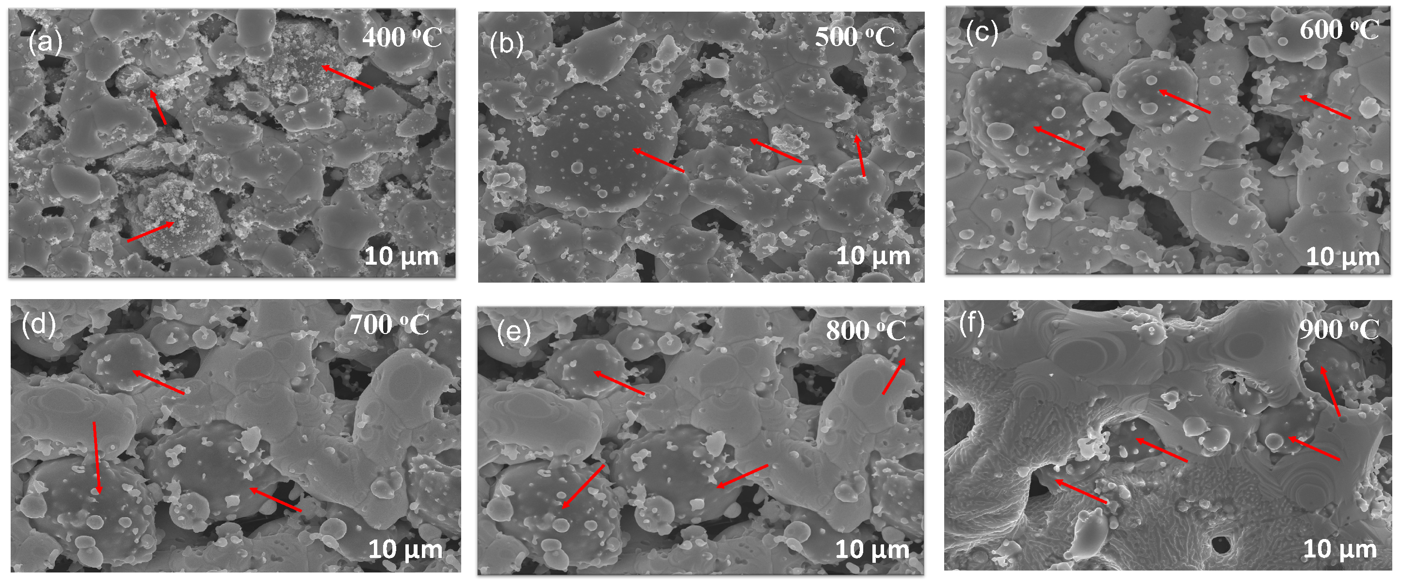 Preprints 116829 g008