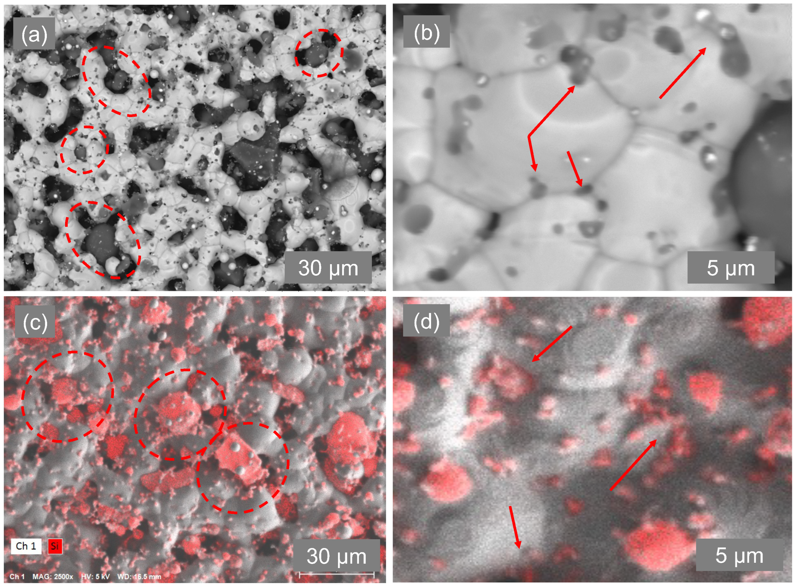 Preprints 116829 g010