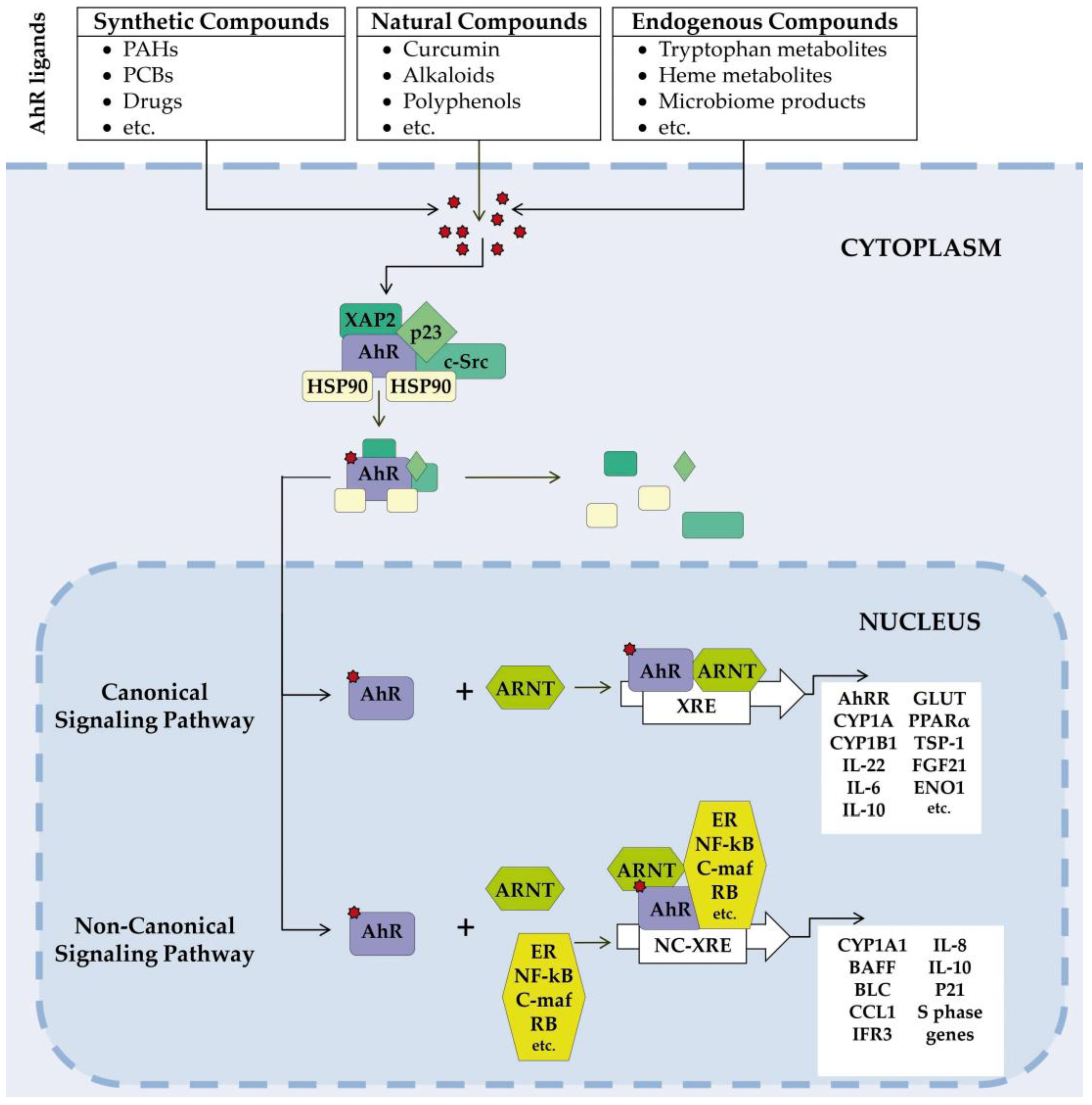 Preprints 184047 g002