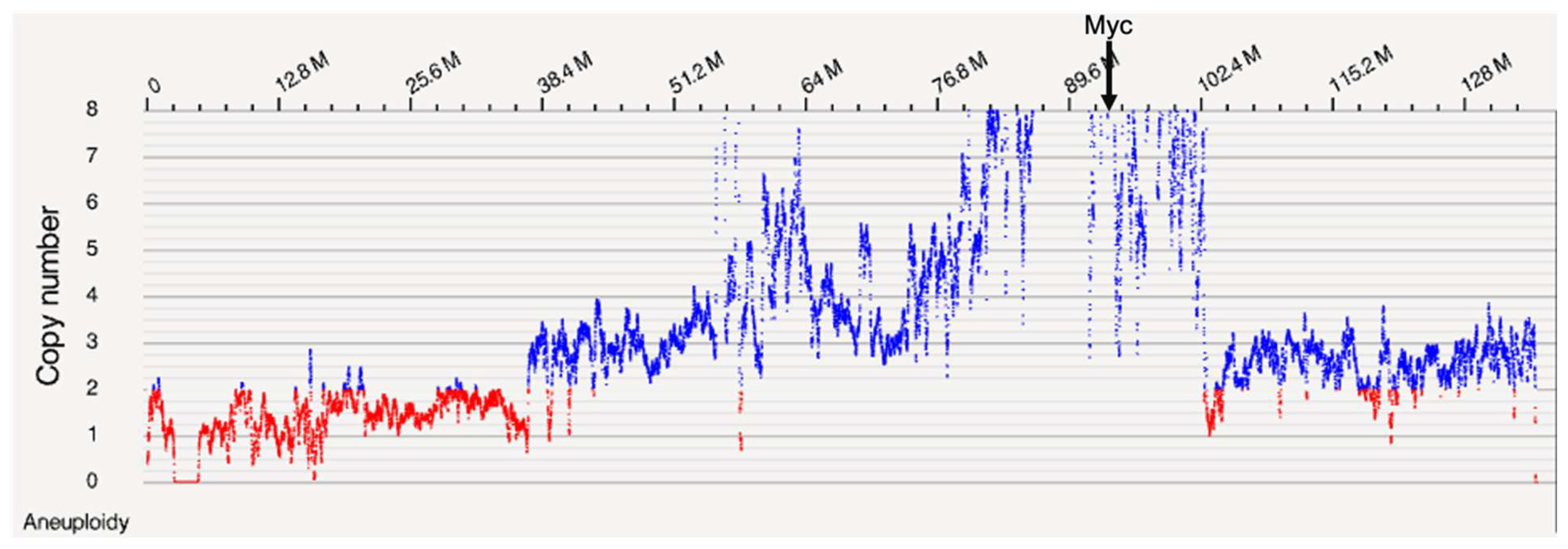 Preprints 117302 g001