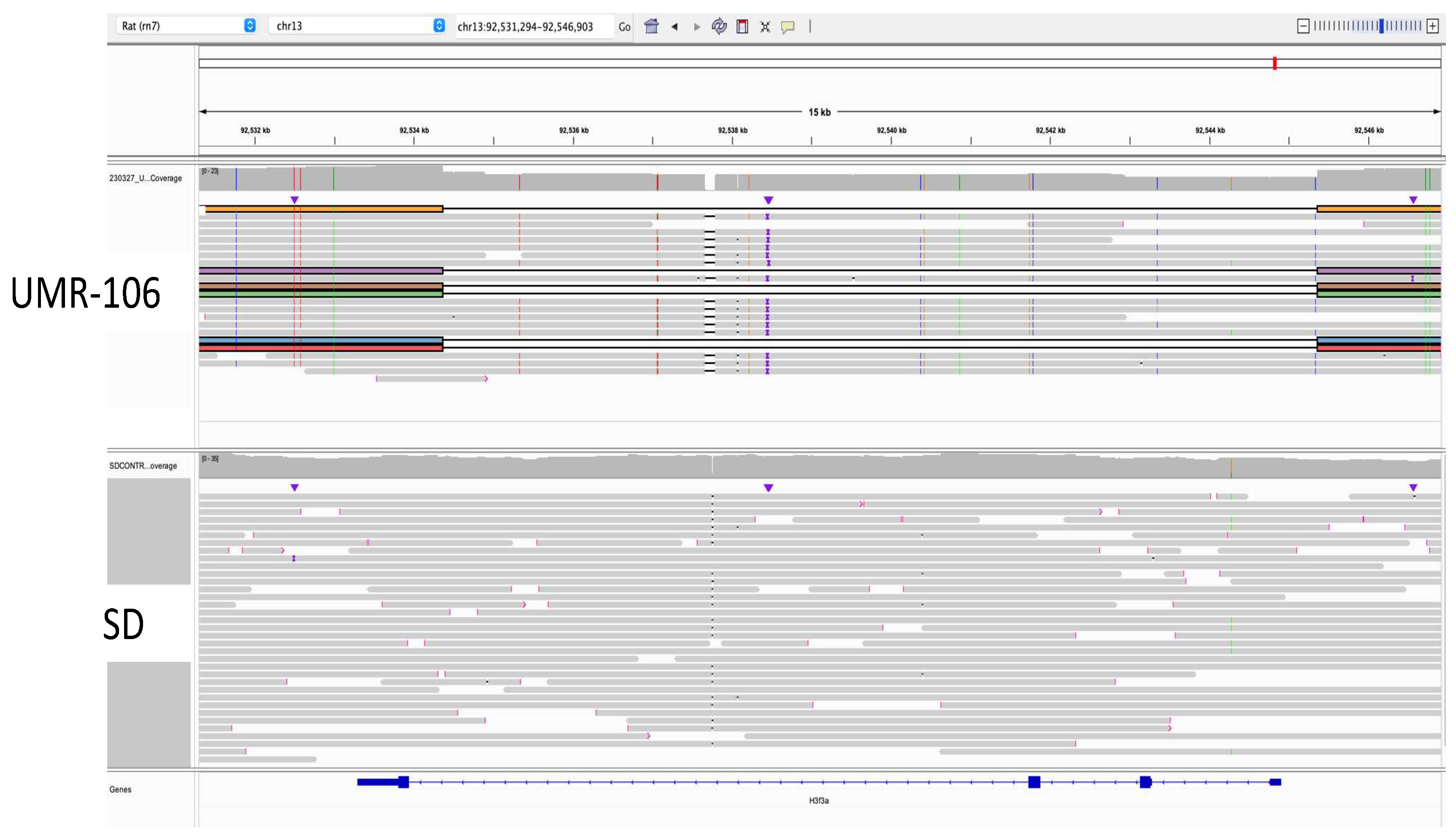 Preprints 117302 g003
