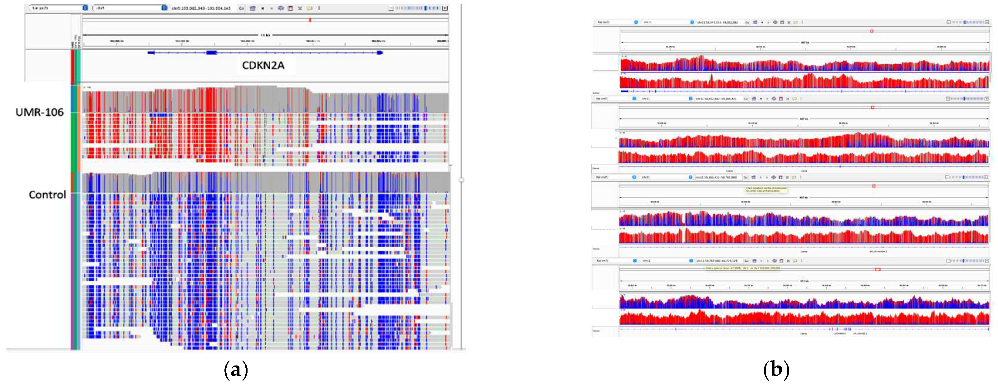 Preprints 117302 g004