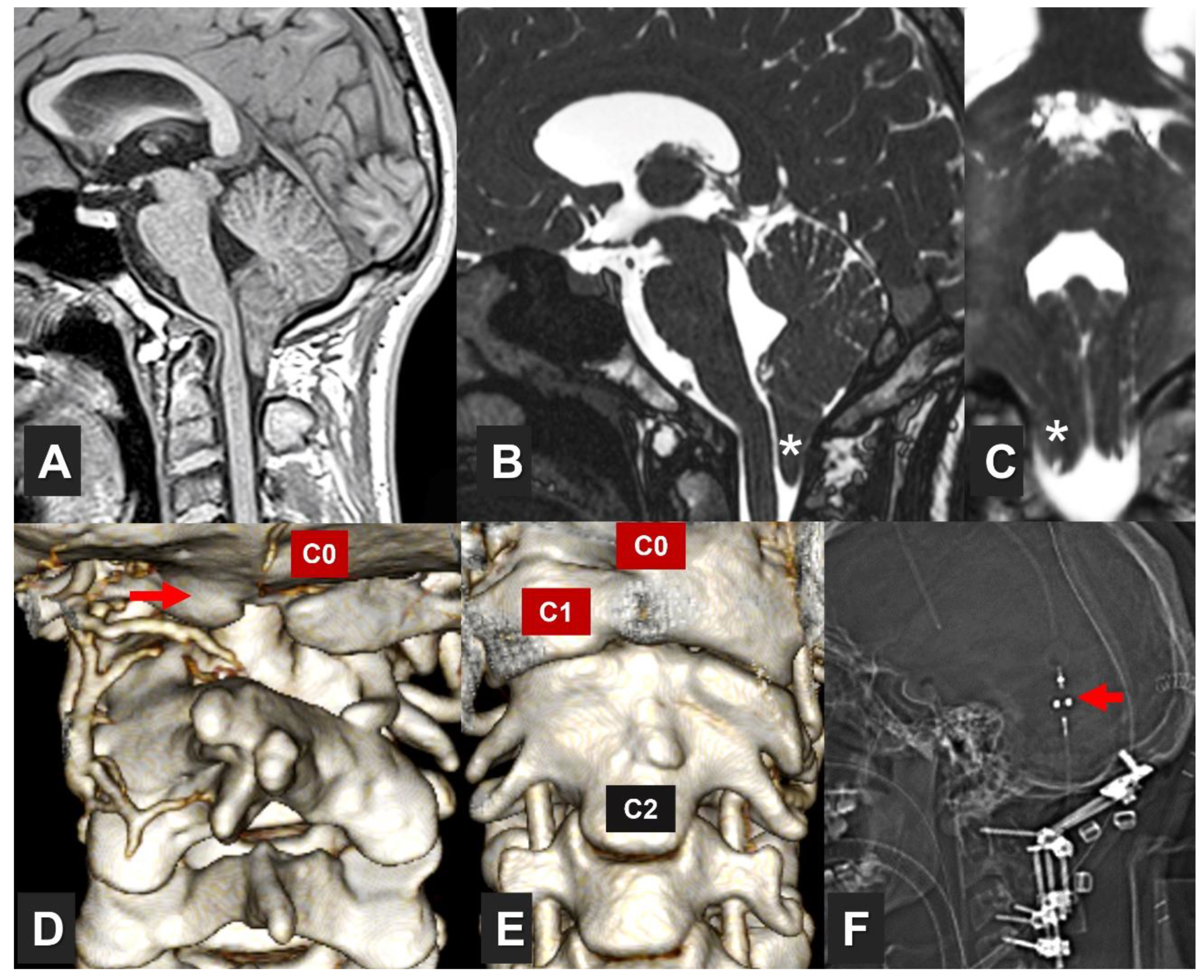 Preprints 81101 g001
