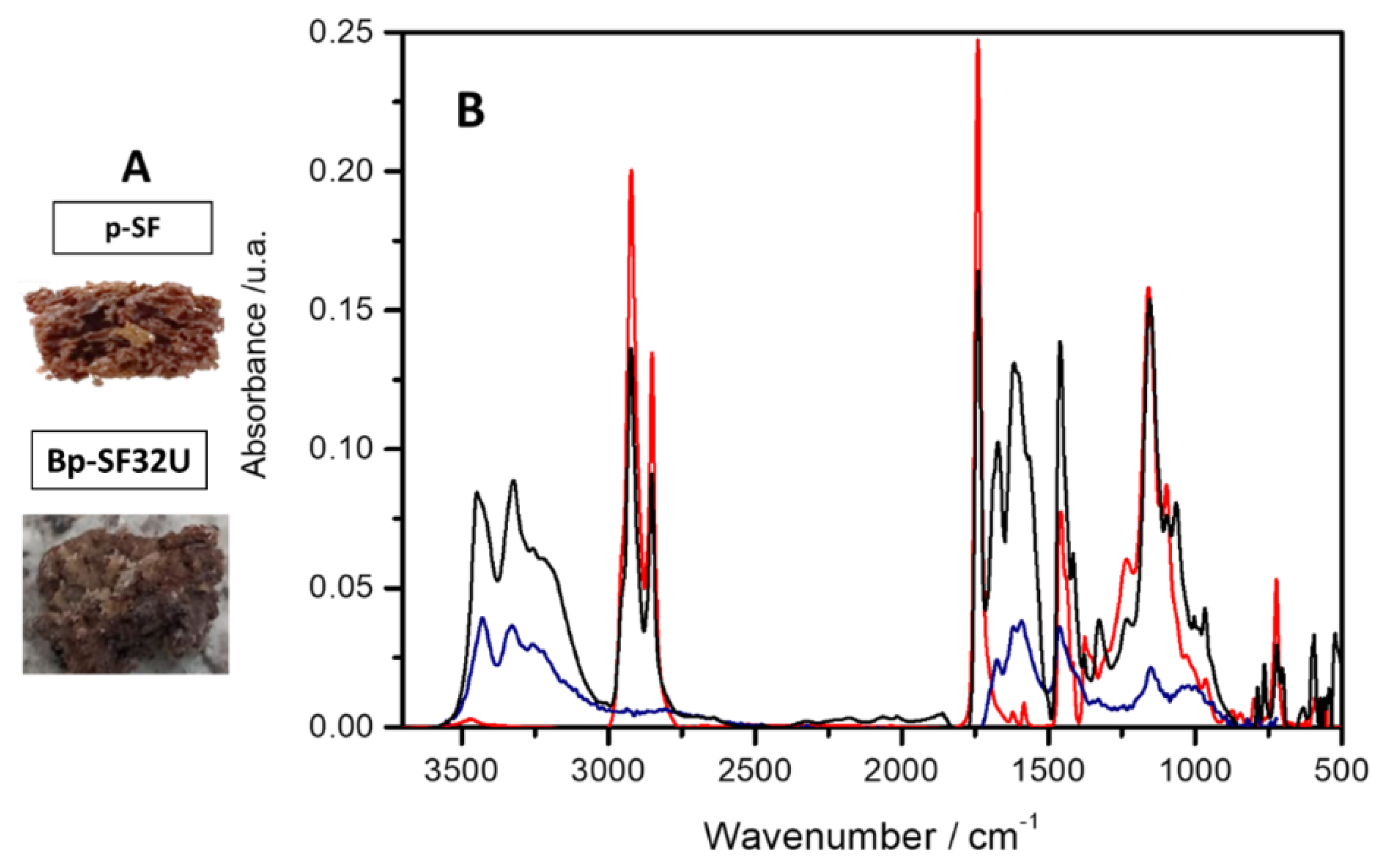 Preprints 203857 g001