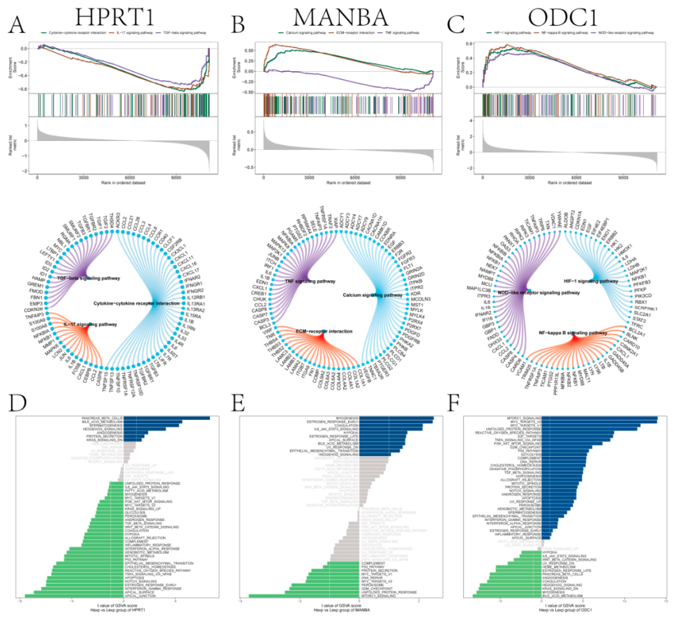 Preprints 233835 g006 Preprints 233835 g006