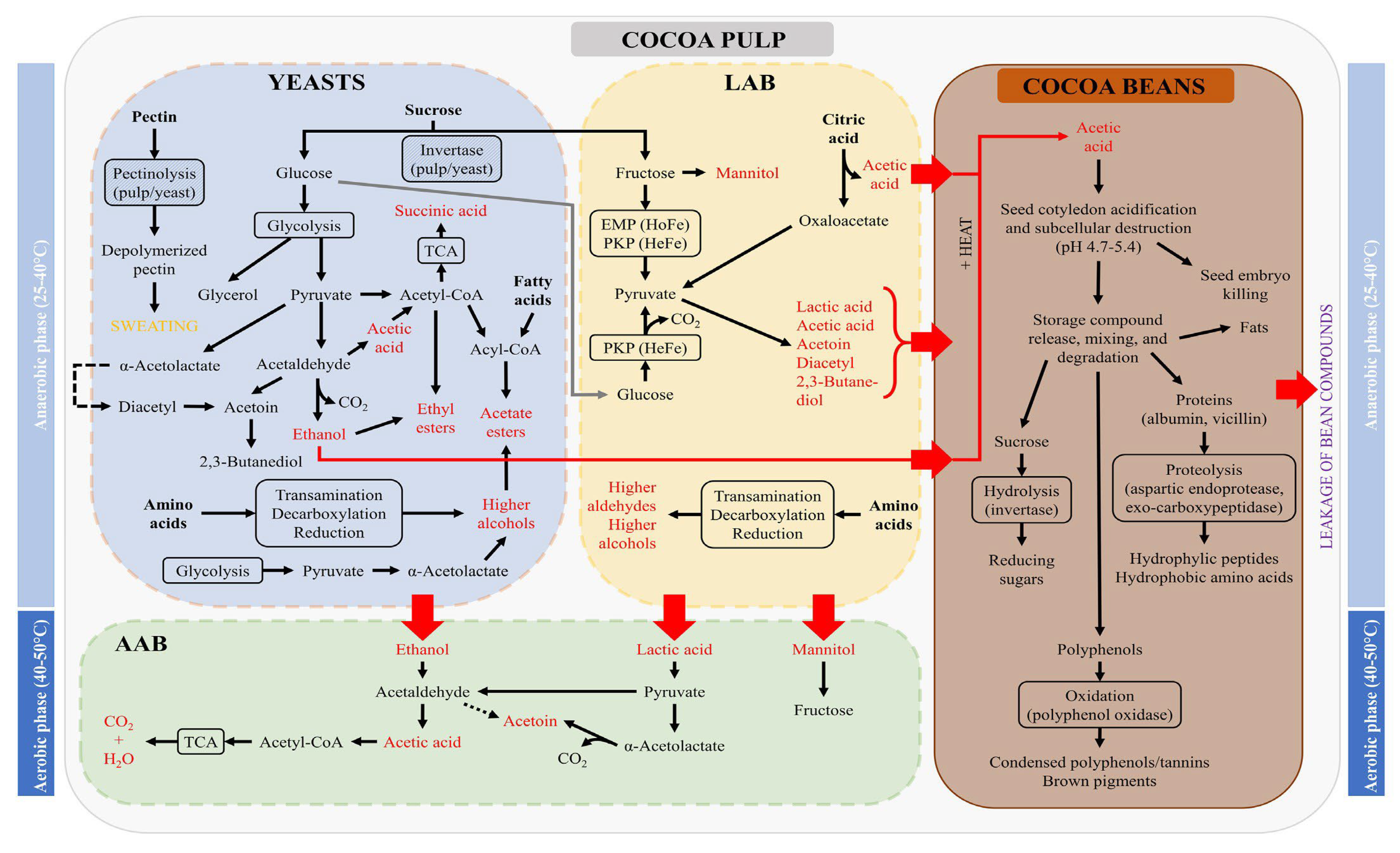 Preprints 176369 g003
