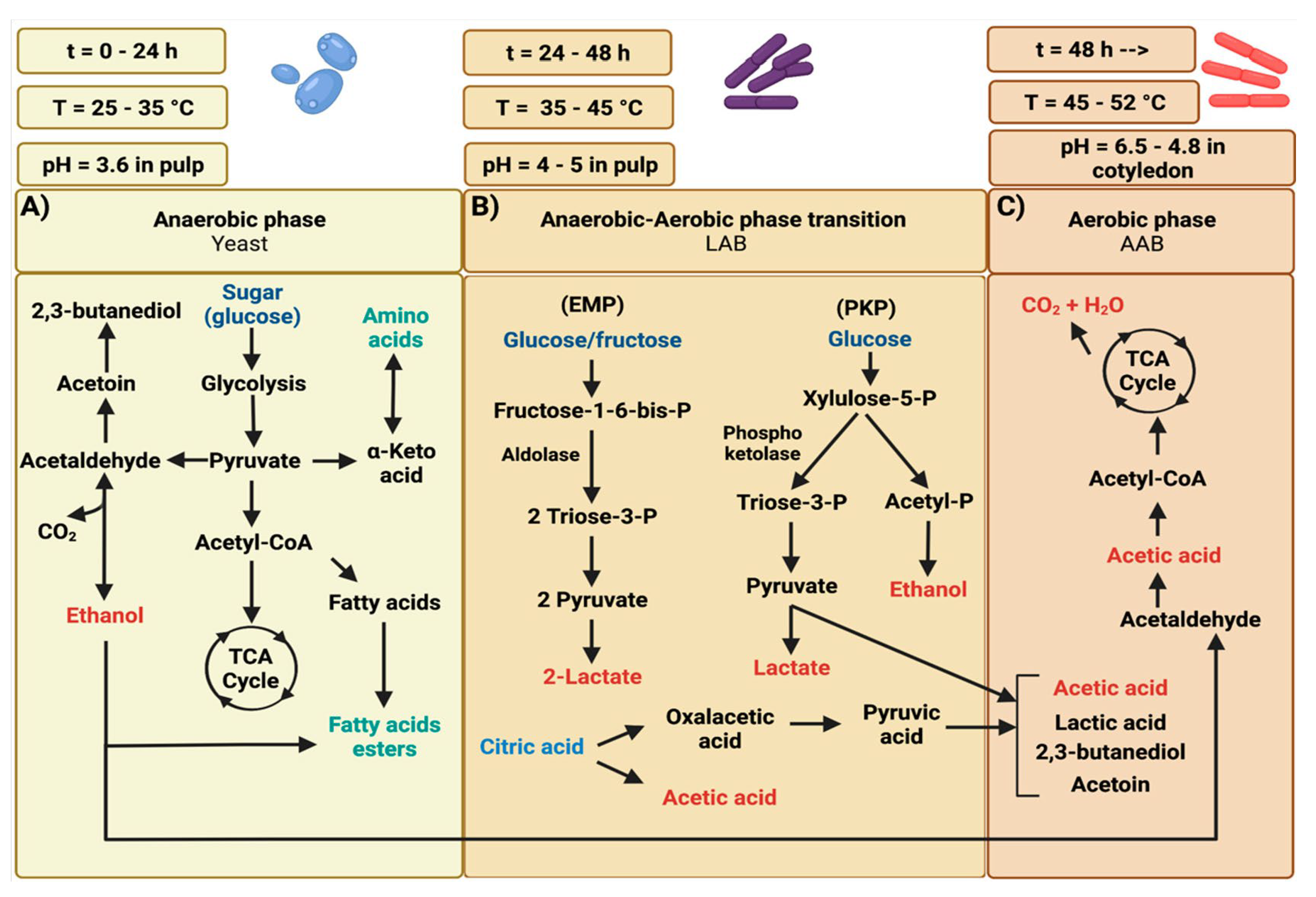 Preprints 176369 g004