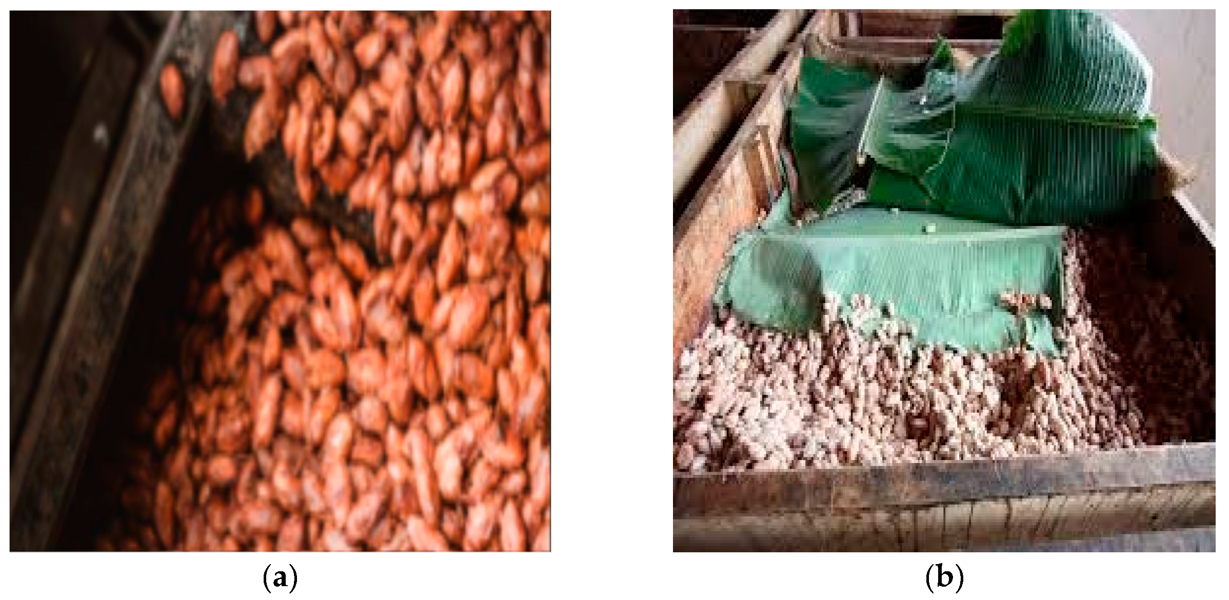 Preprints 176369 g007