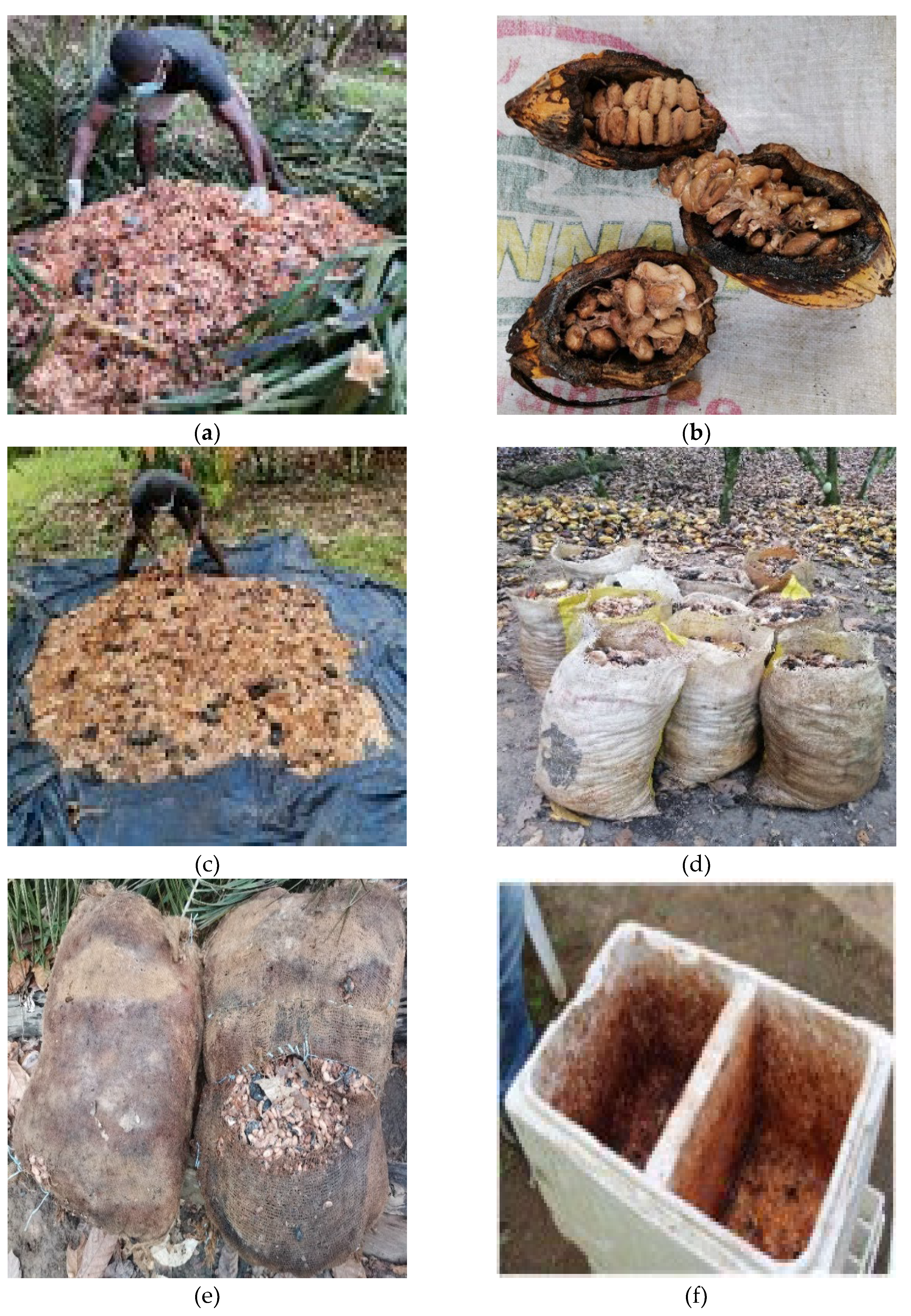 Preprints 176369 g008