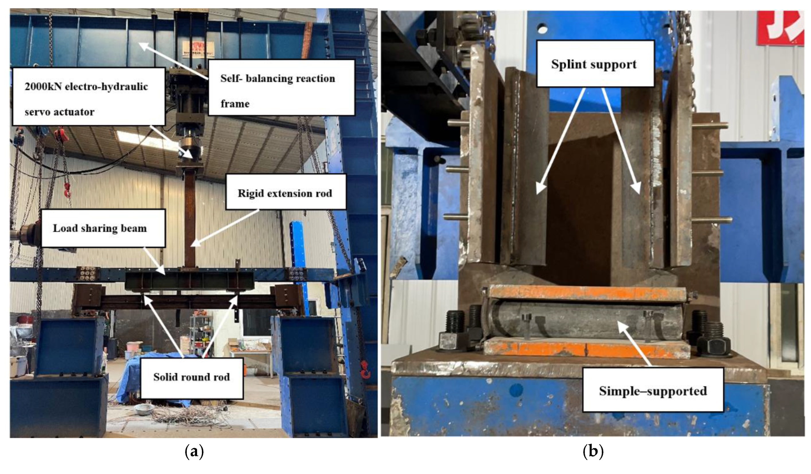 Preprints 145825 g003