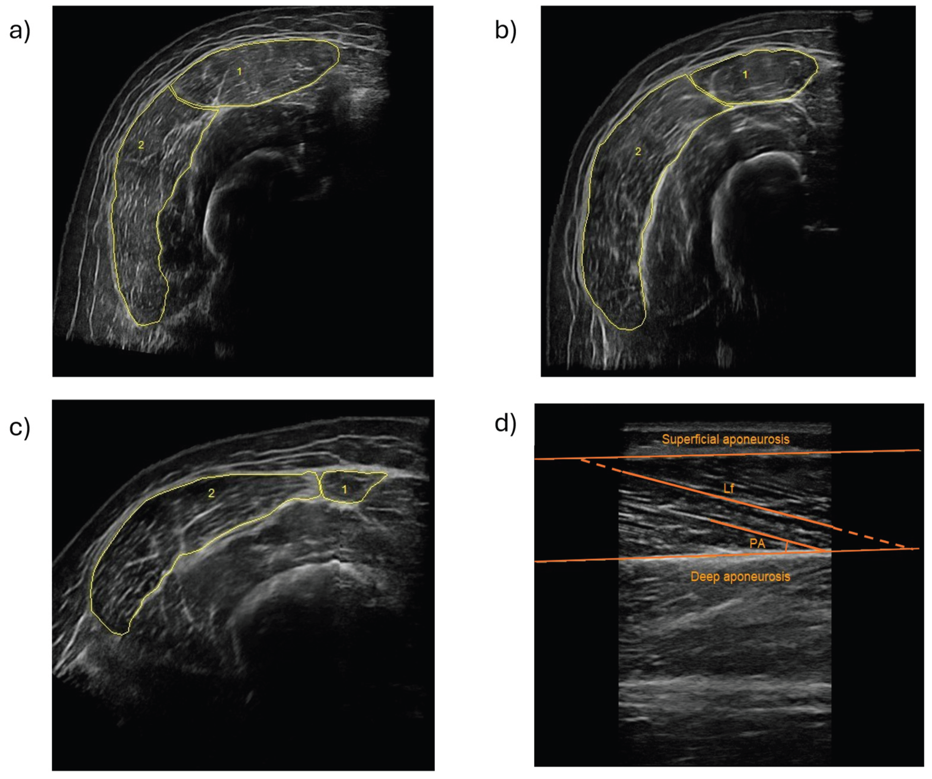 Preprints 201856 g001