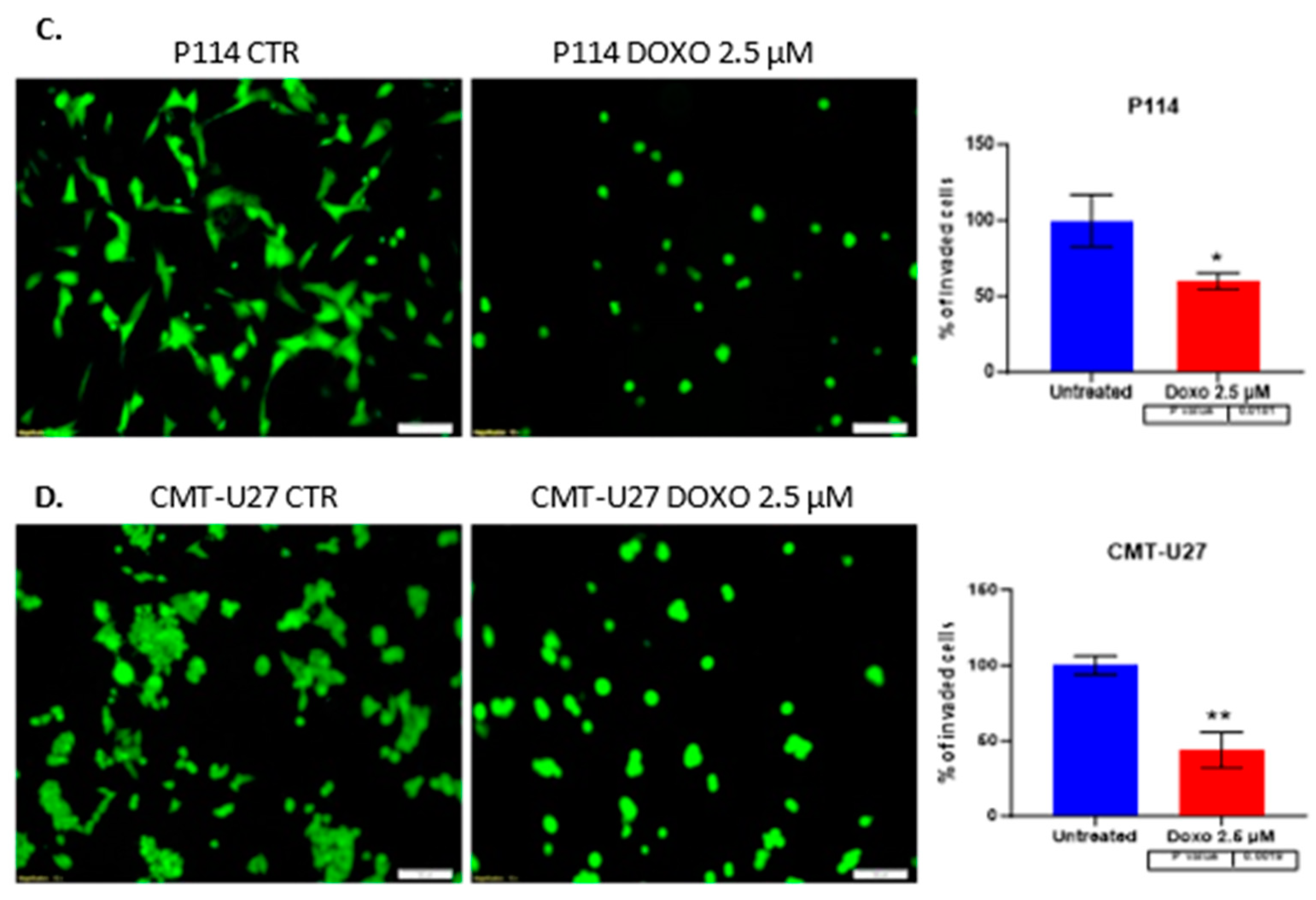 Preprints 85658 g003b