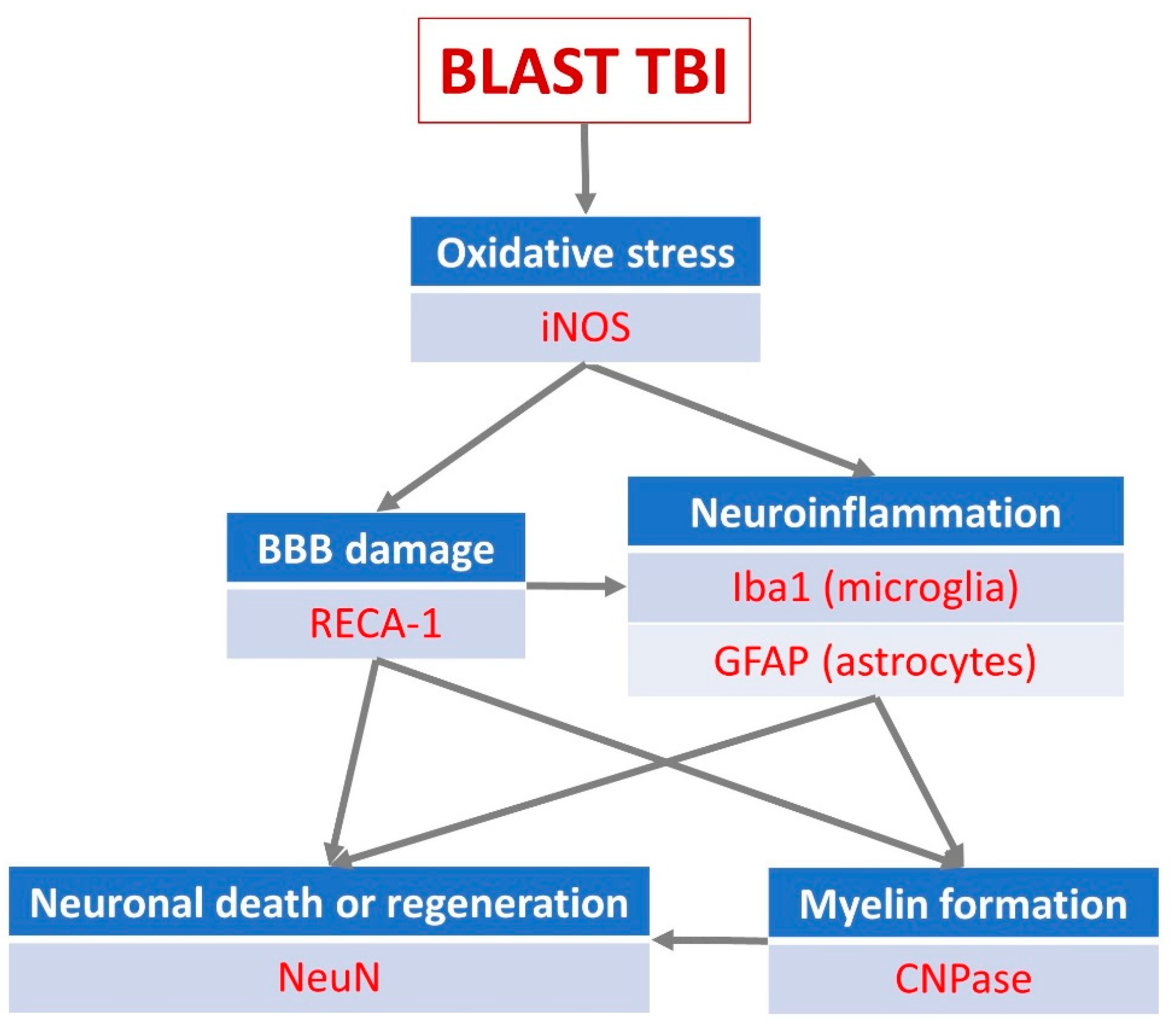 Preprints 141748 g002