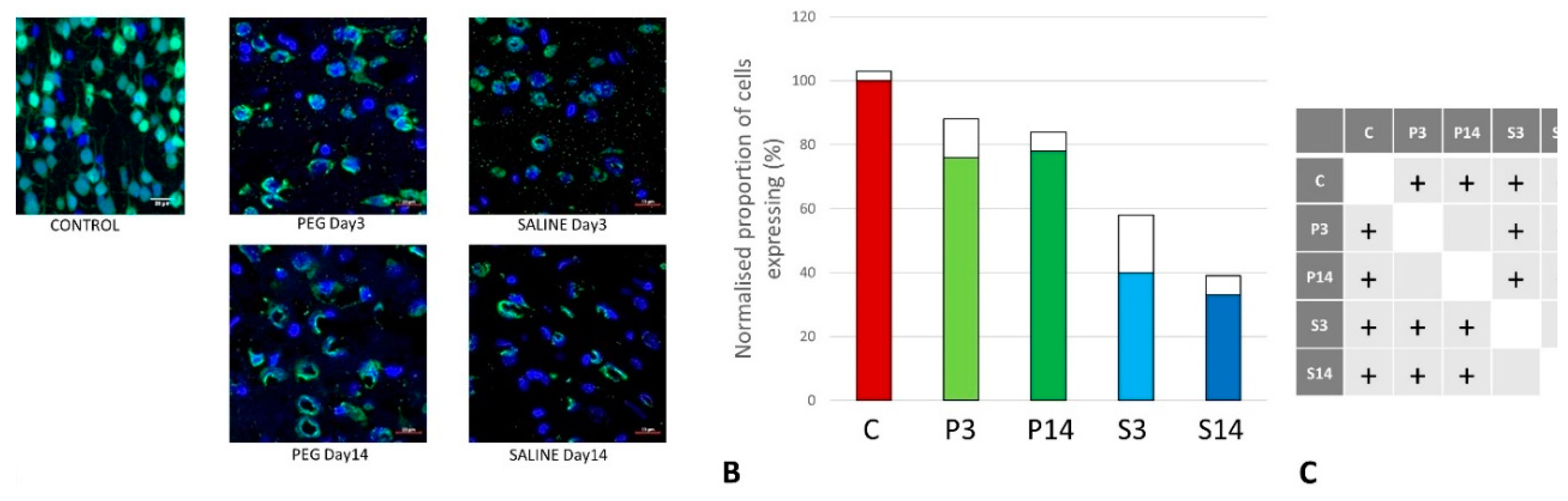 Preprints 141748 g003